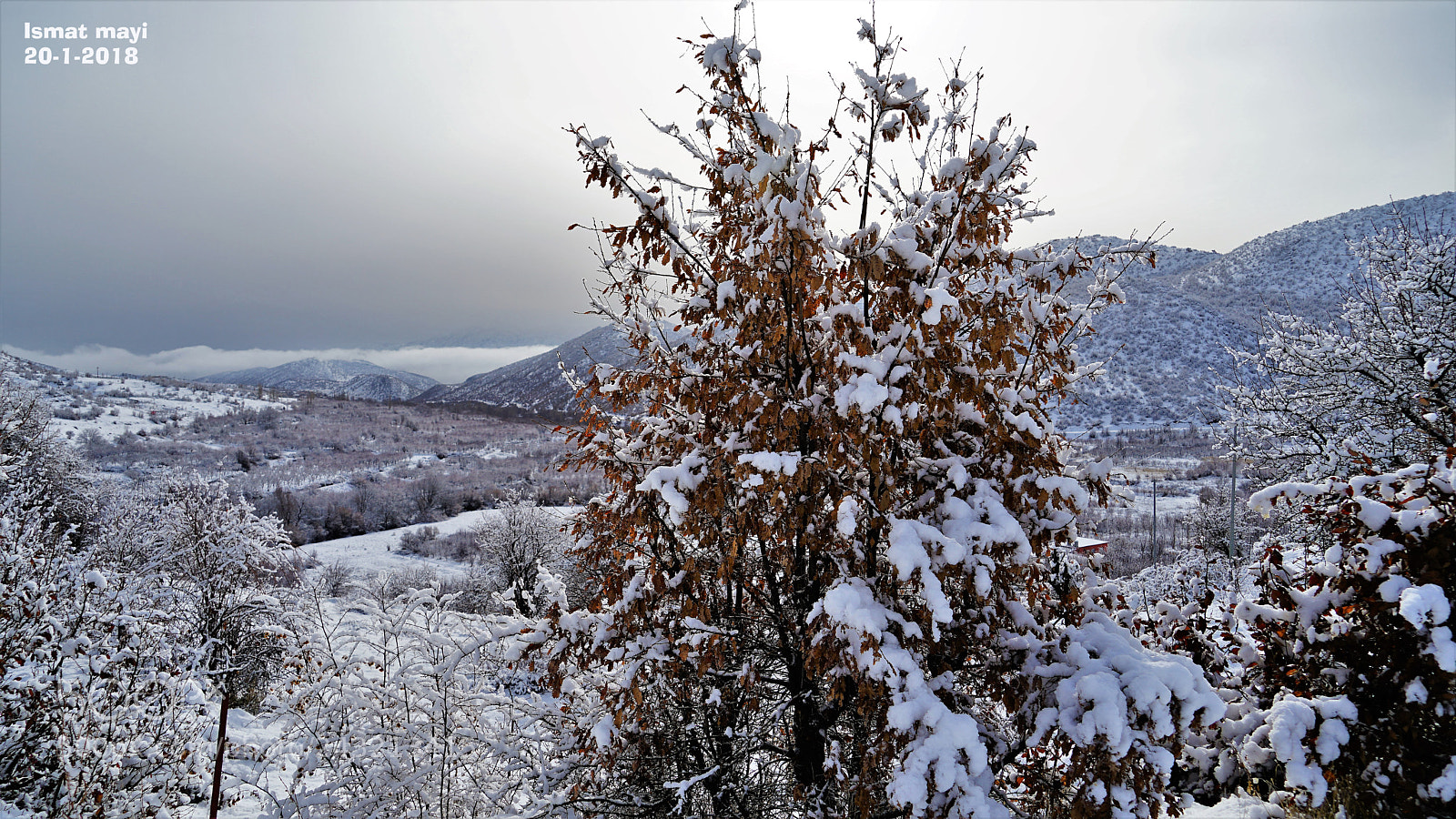 Sony a7 II sample photo. 24.jpg photography