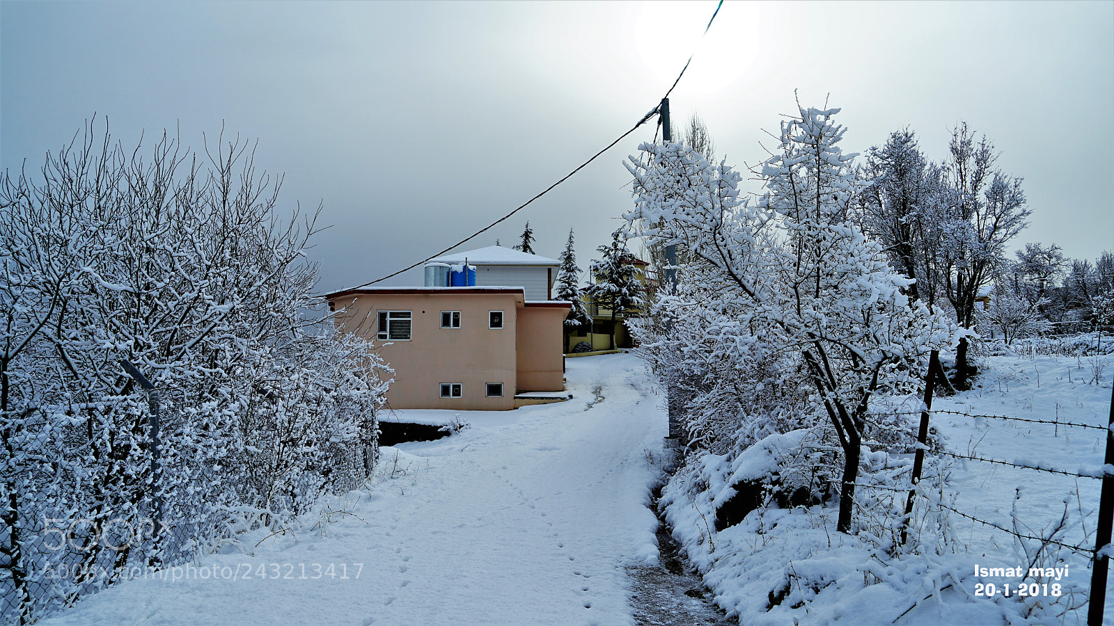 Sony a7 II sample photo. 8.jpg photography
