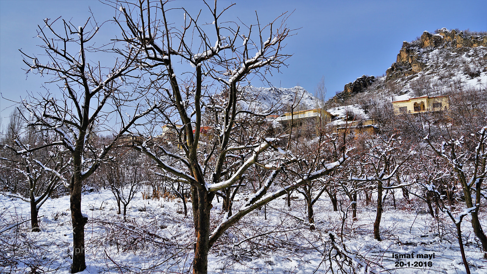 Sony a7 II sample photo. 44.jpg photography