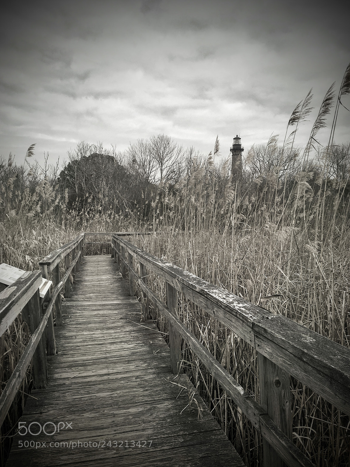 Apple iPhone SE sample photo. Currituck beach lighthouse photography