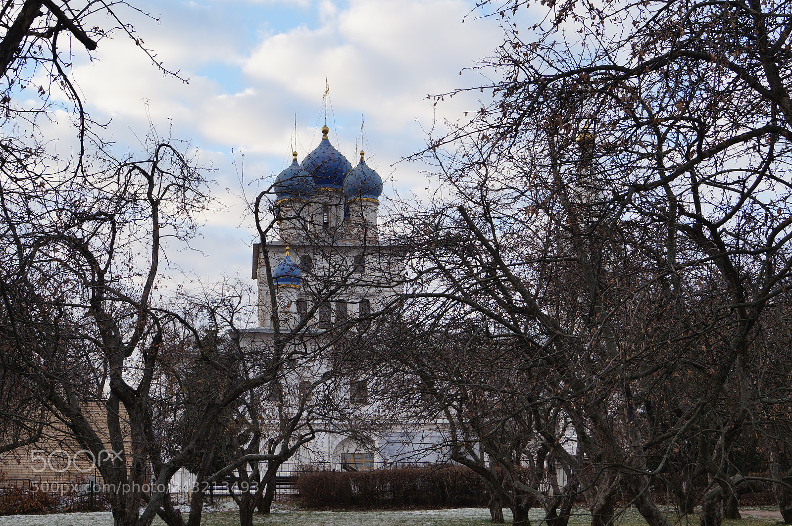 Sony SLT-A57 sample photo. Untitled photography