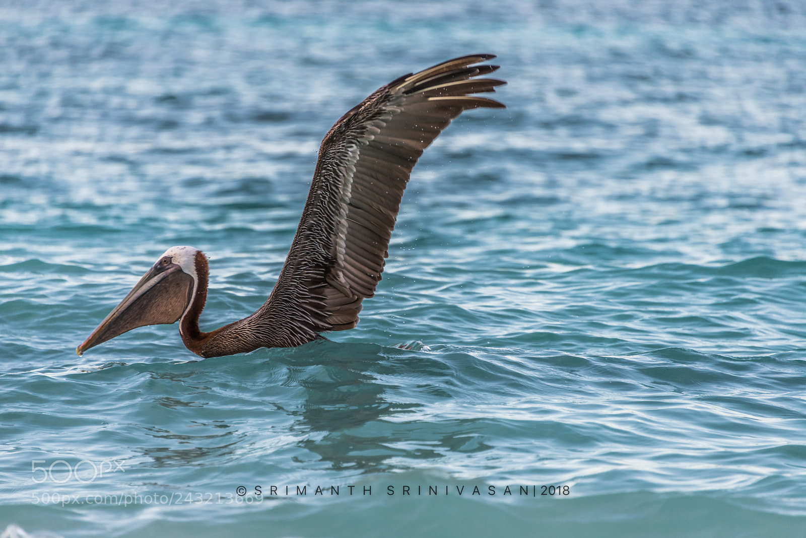 Nikon D610 sample photo. Before takeoff photography