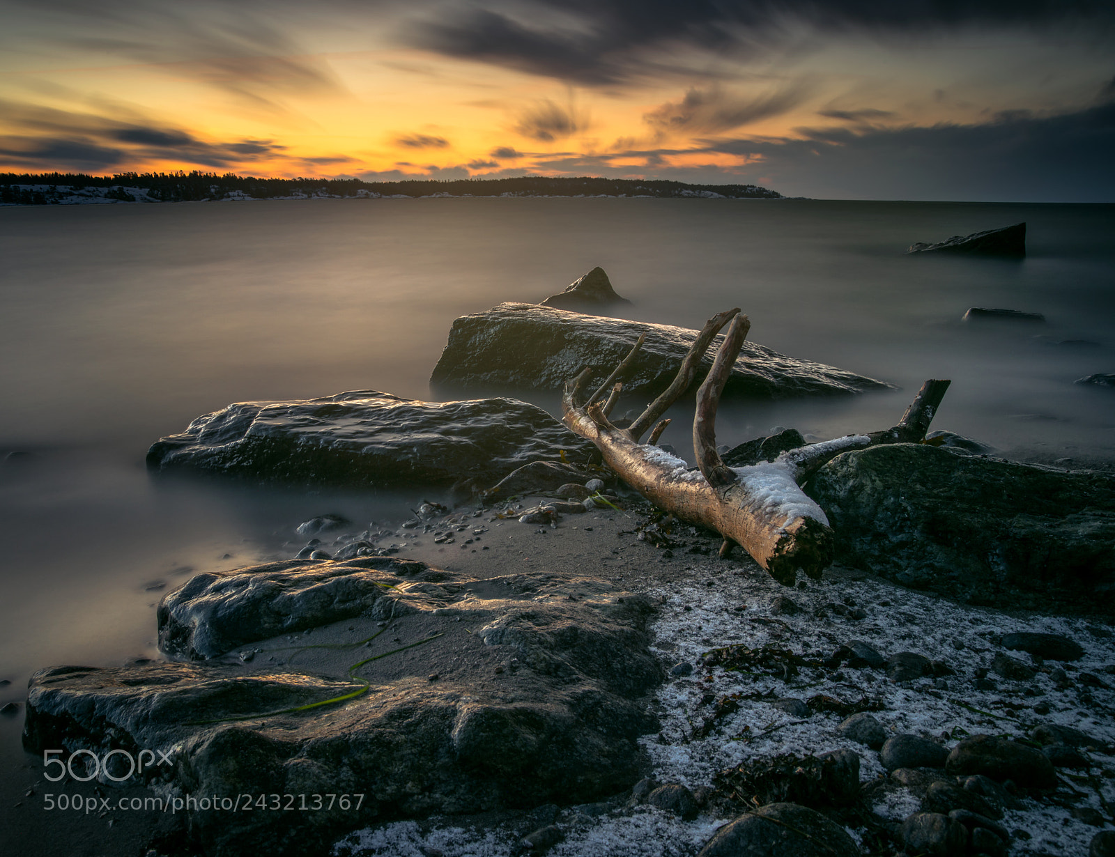 Nikon D810 sample photo. Driftwood photography