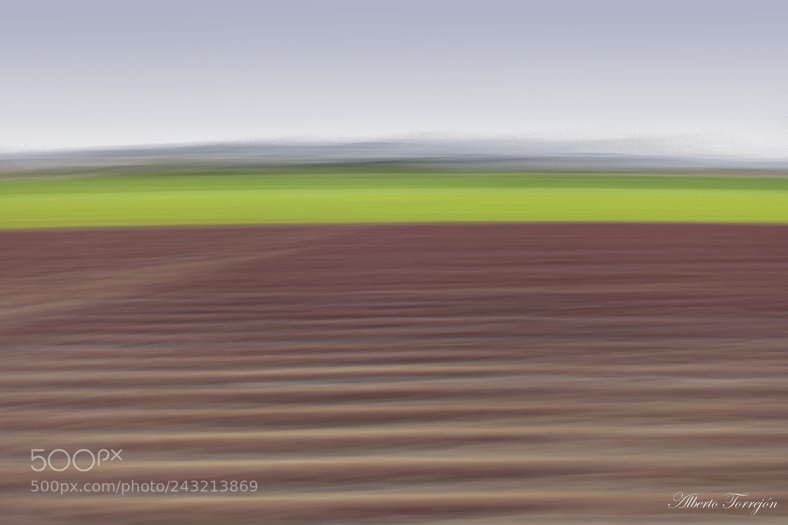Sony Cyber-shot DSC-RX100 III sample photo. Lettuce fields photography