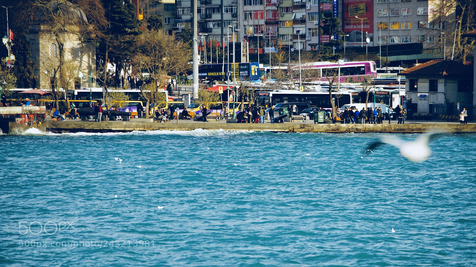 Sony a7R II sample photo. Boğaz photography
