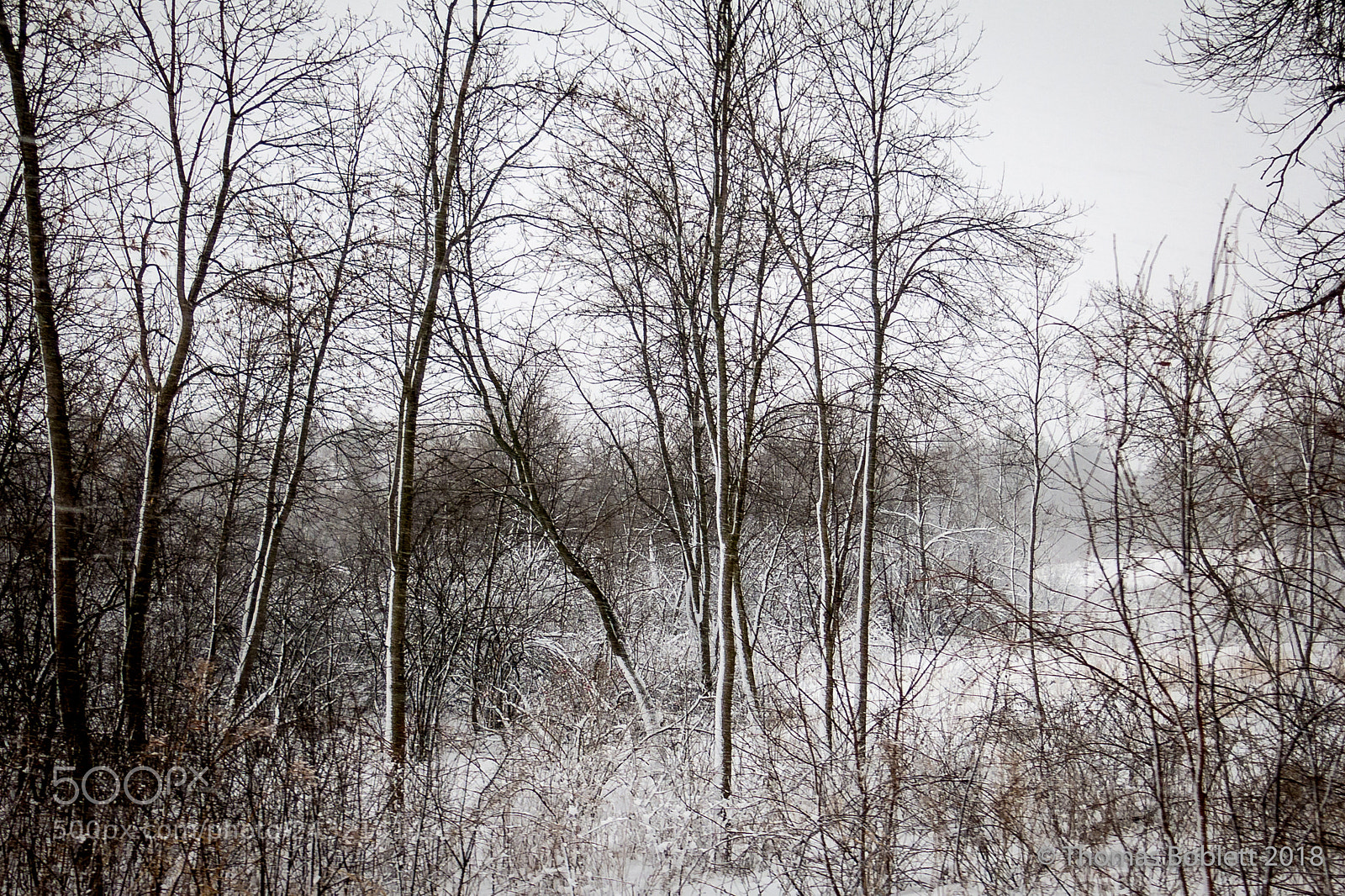 Canon PowerShot G15 sample photo. Wirth parkway photography