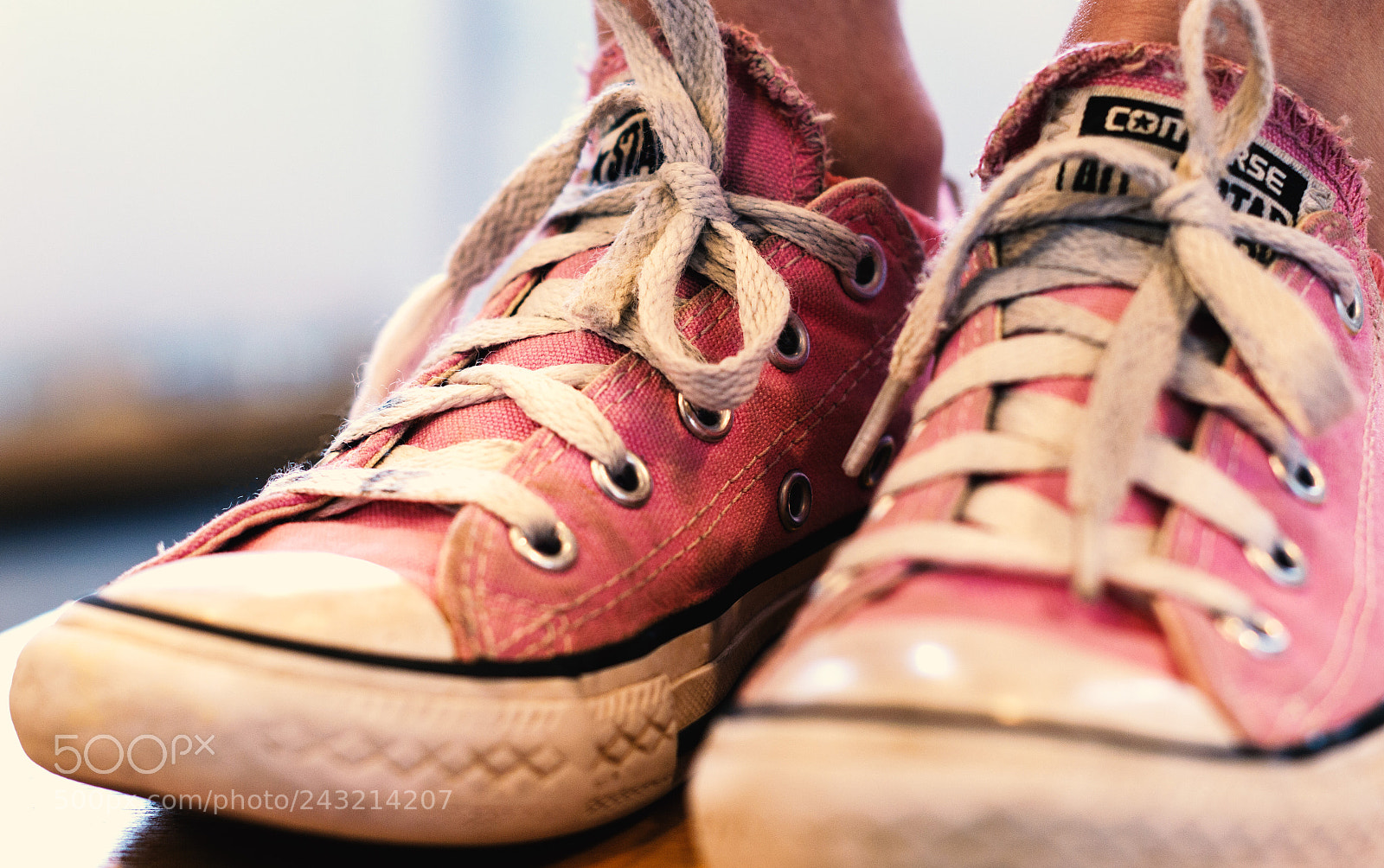 Nikon D3200 sample photo. Pink taylors photography