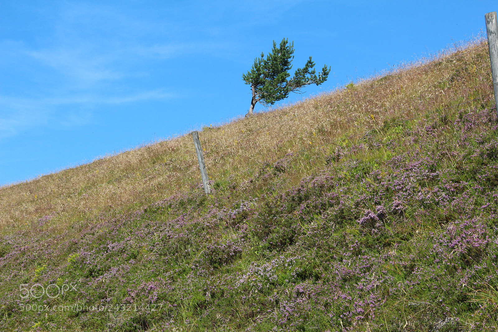 Canon EOS 650D (EOS Rebel T4i / EOS Kiss X6i) sample photo. Img photography