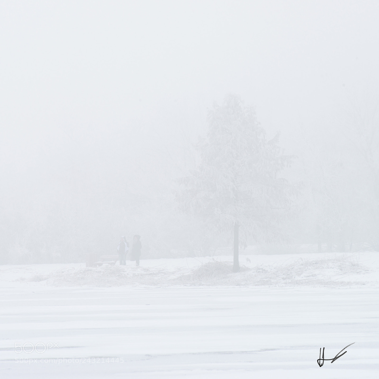 Nikon D800 sample photo. Ii photography