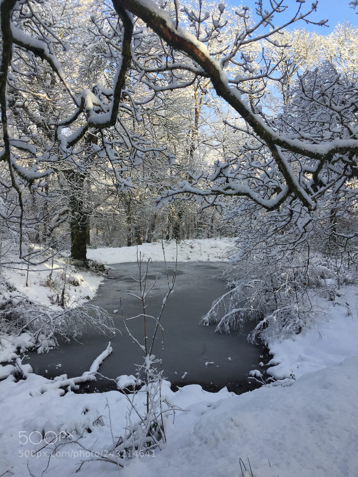 Apple iPhone 6 sample photo. Winter walks photography