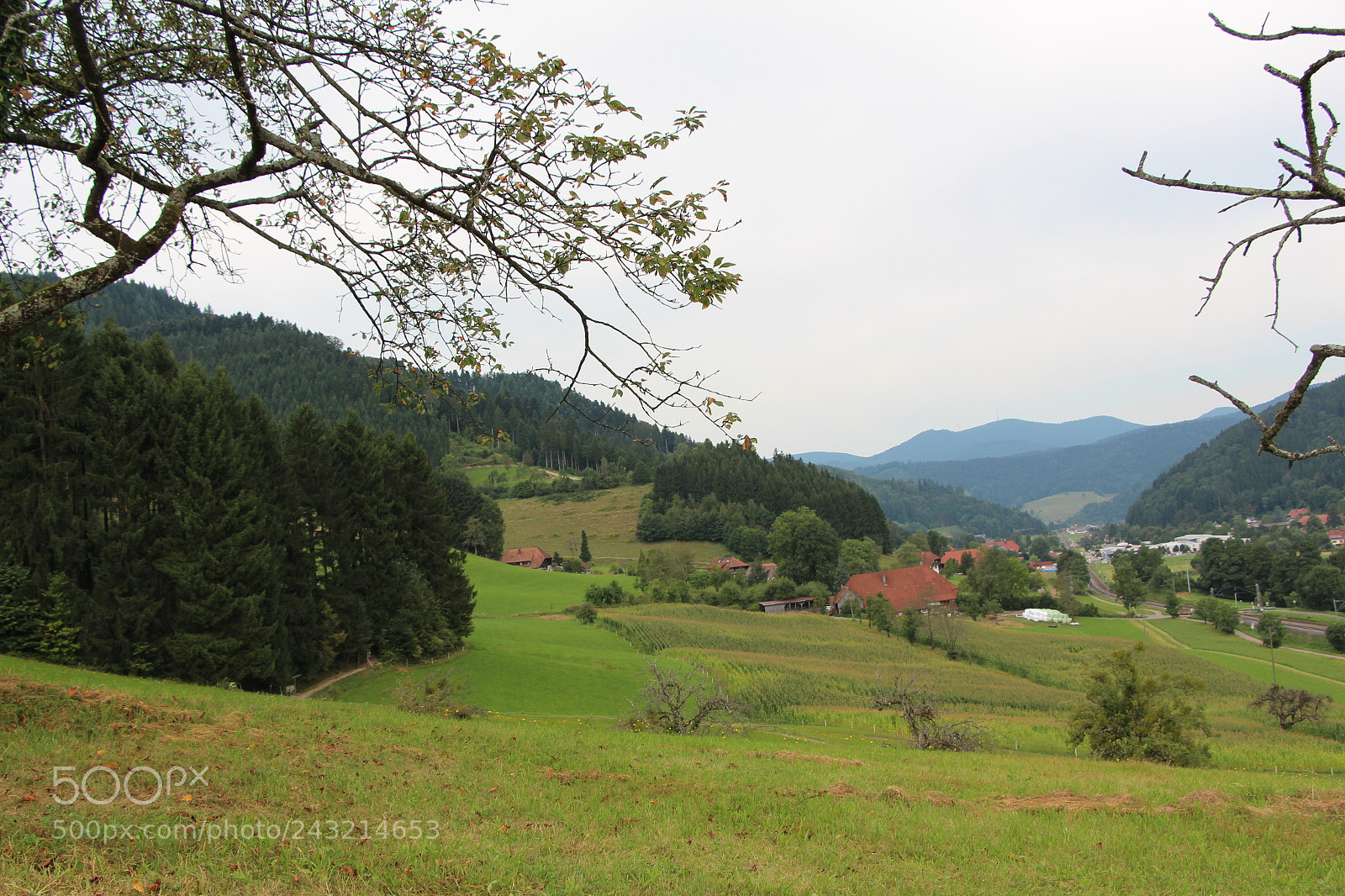Canon EOS 650D (EOS Rebel T4i / EOS Kiss X6i) sample photo. Img photography