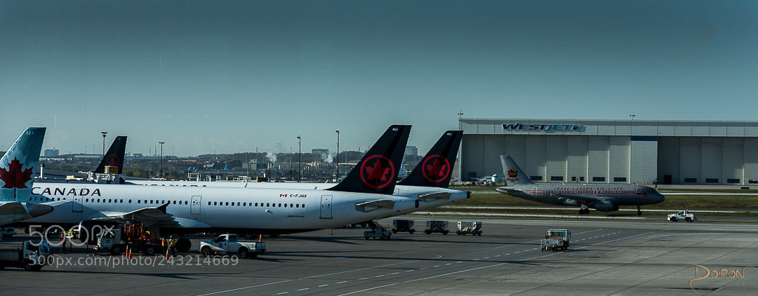 Nikon D7200 sample photo. Paint job panorama photography