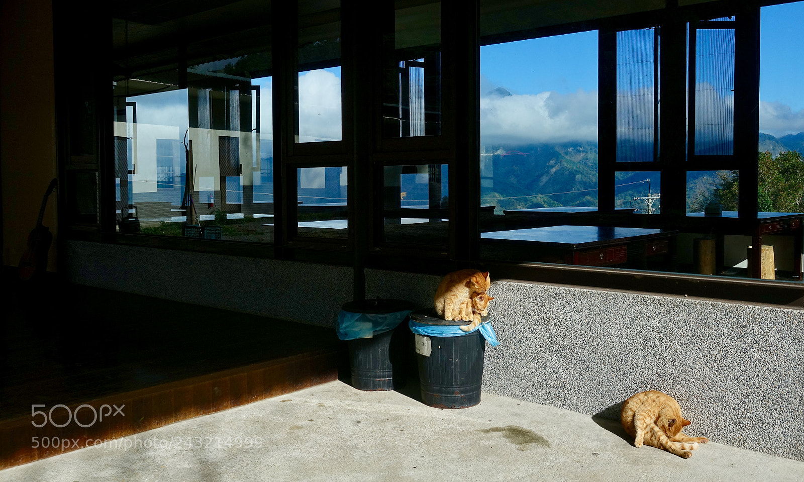 Sony Cyber-shot DSC-RX10 III sample photo. Untitled photography