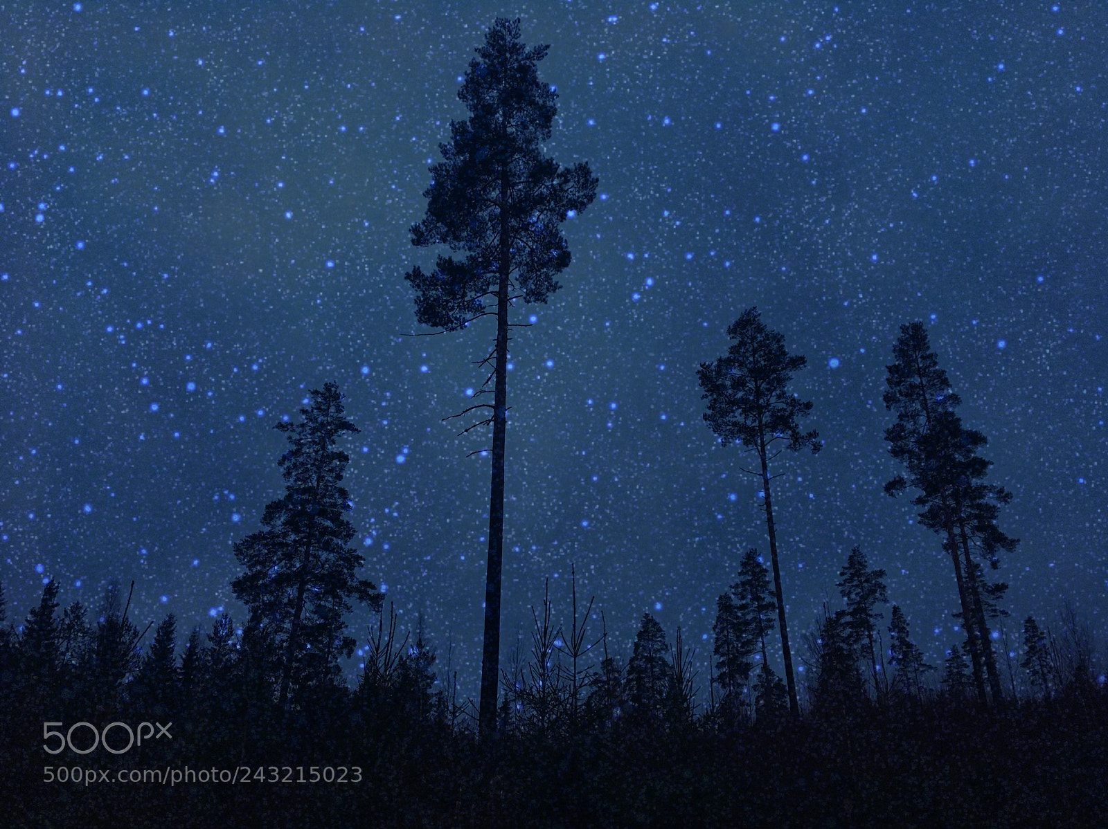 Apple iPhone 6s sample photo. Starry sky photography