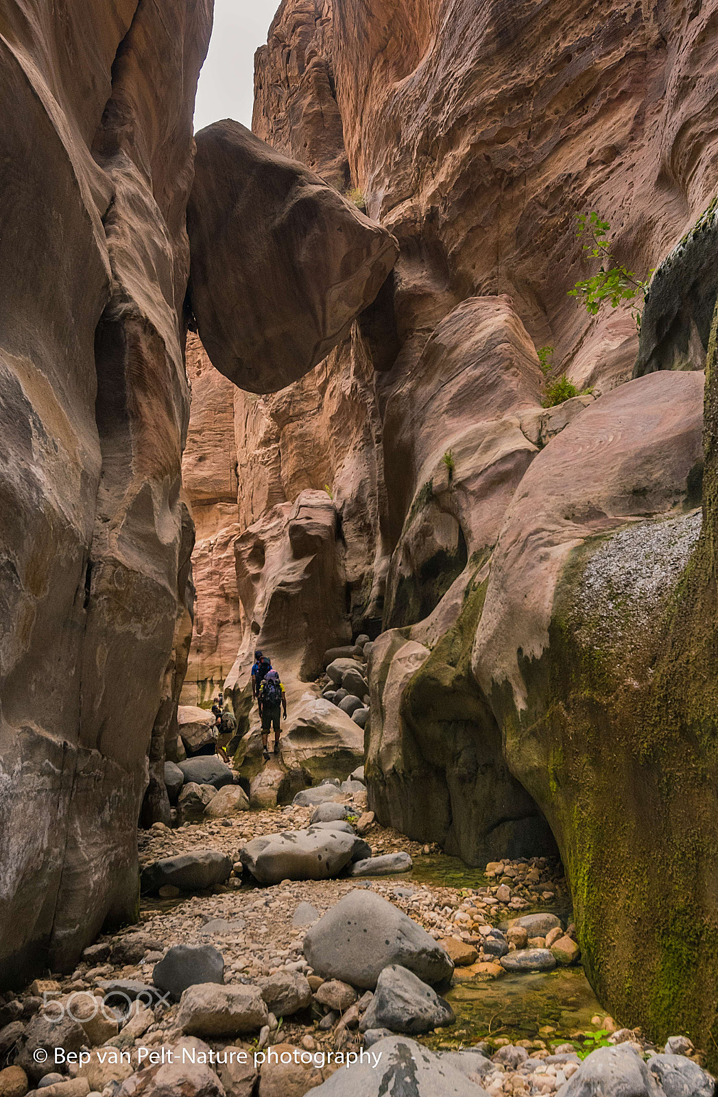 Nikon D500 sample photo. Hanging rock; wadi ghuweir photography