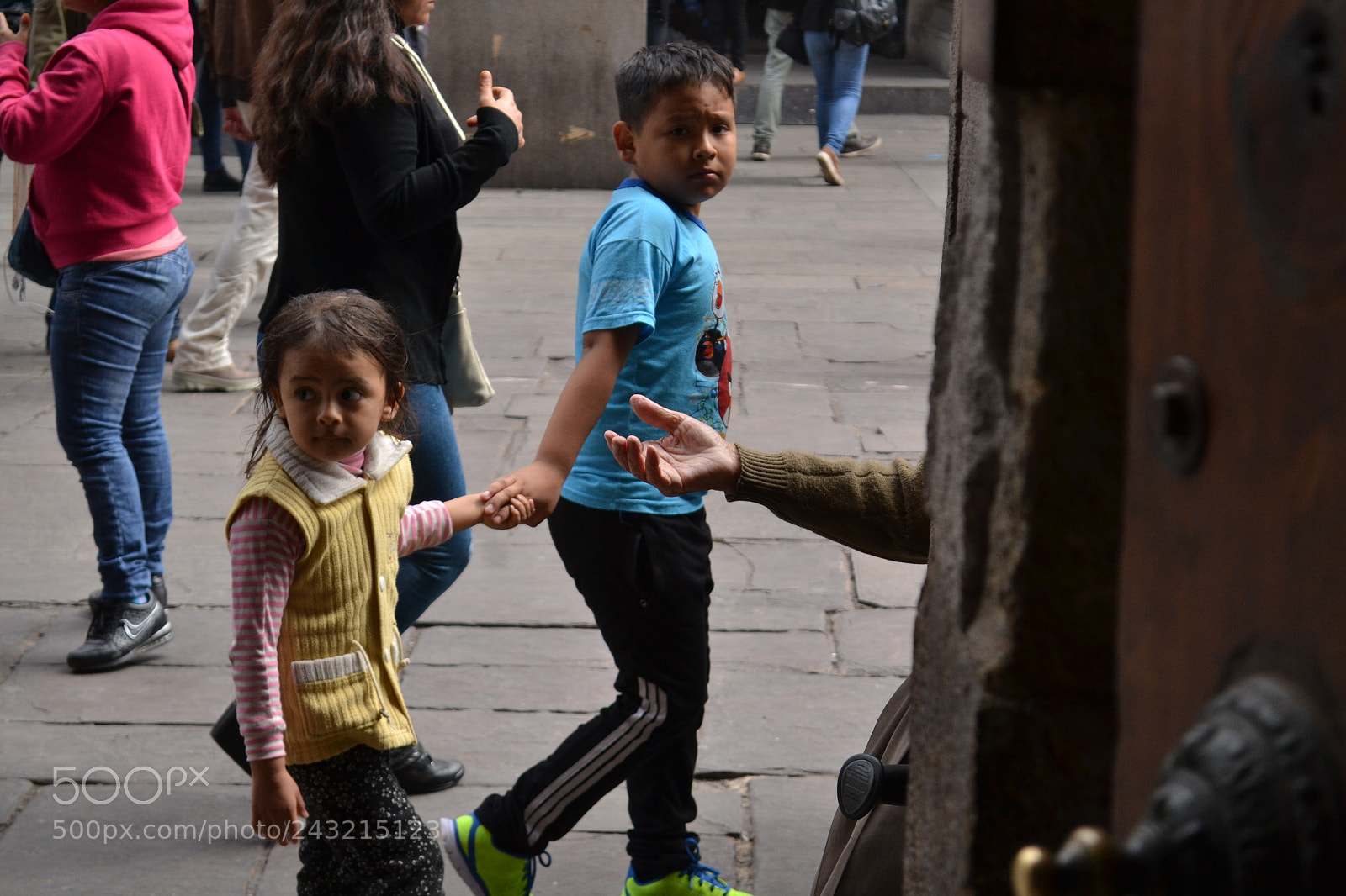 Nikon D3100 sample photo. Untitled photography