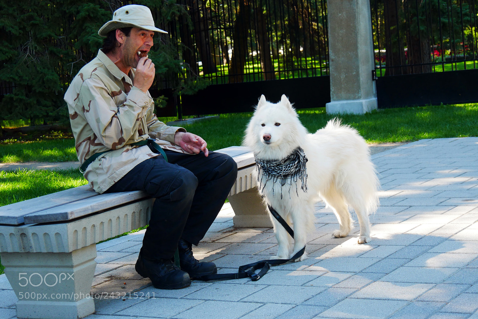 Panasonic Lumix DMC-GX85 (Lumix DMC-GX80 / Lumix DMC-GX7 Mark II) sample photo. P photography