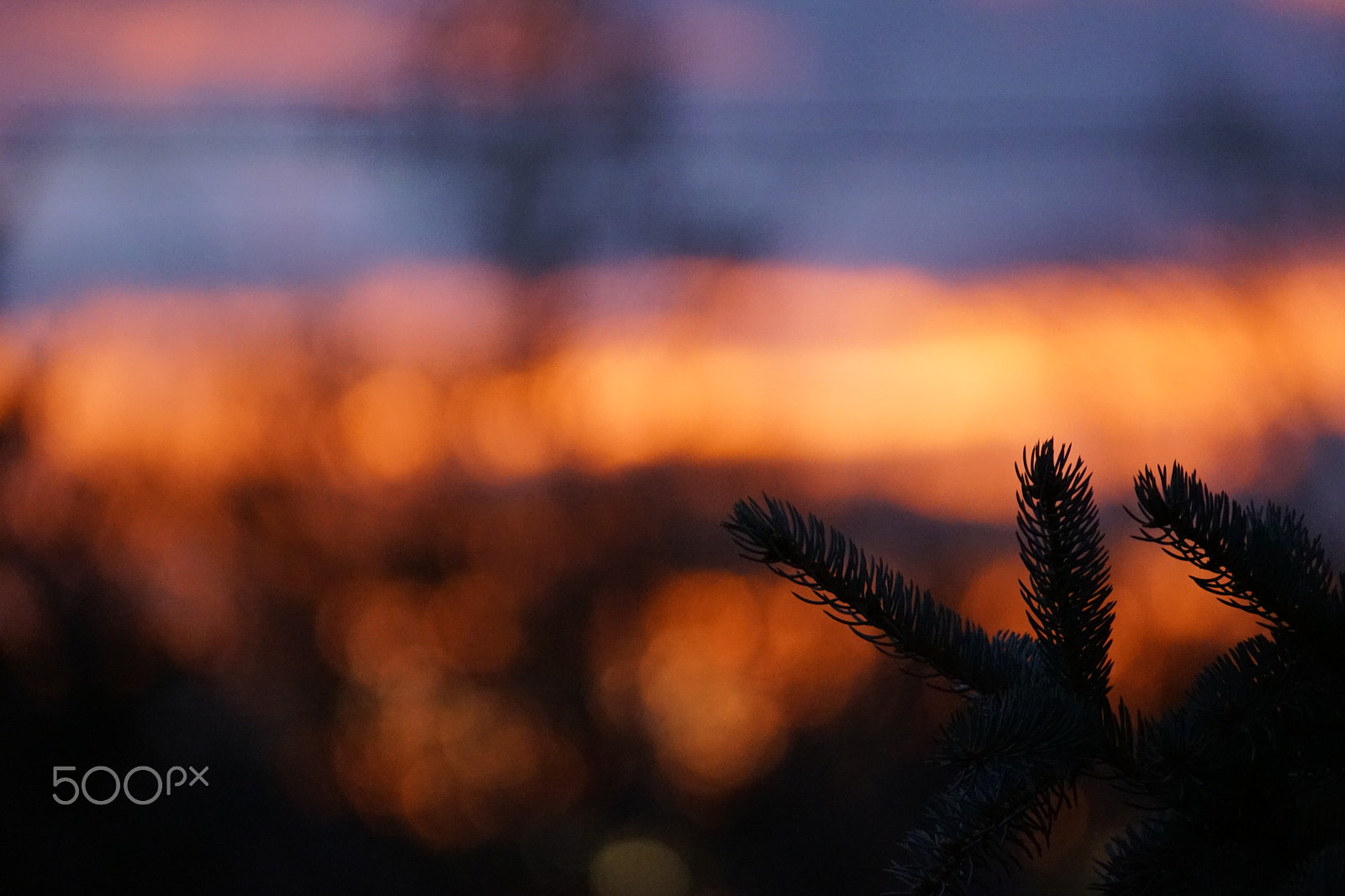 Sony SLT-A68 sample photo. Sunset photography