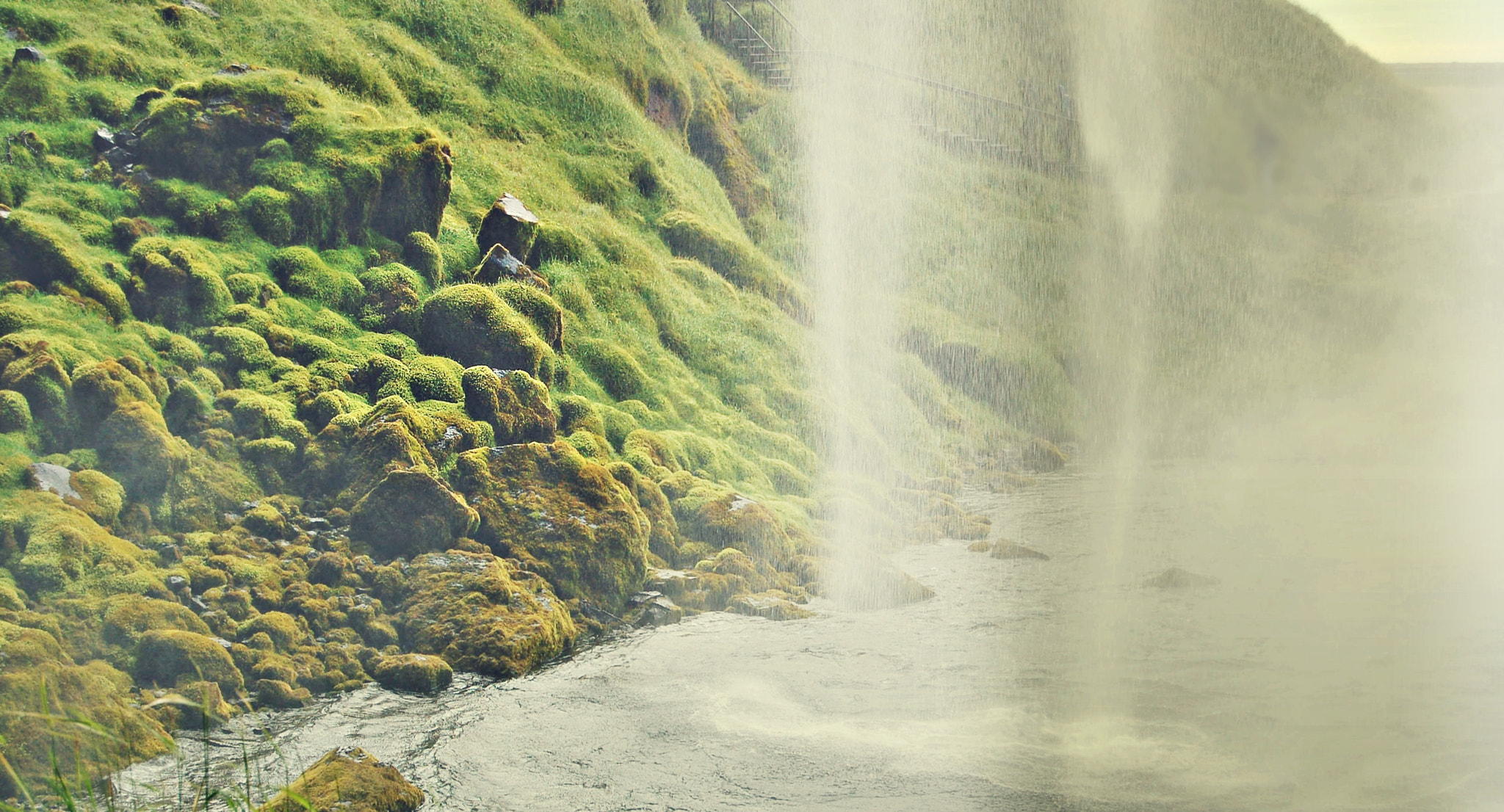 Nikon D50 sample photo. Water and green photography