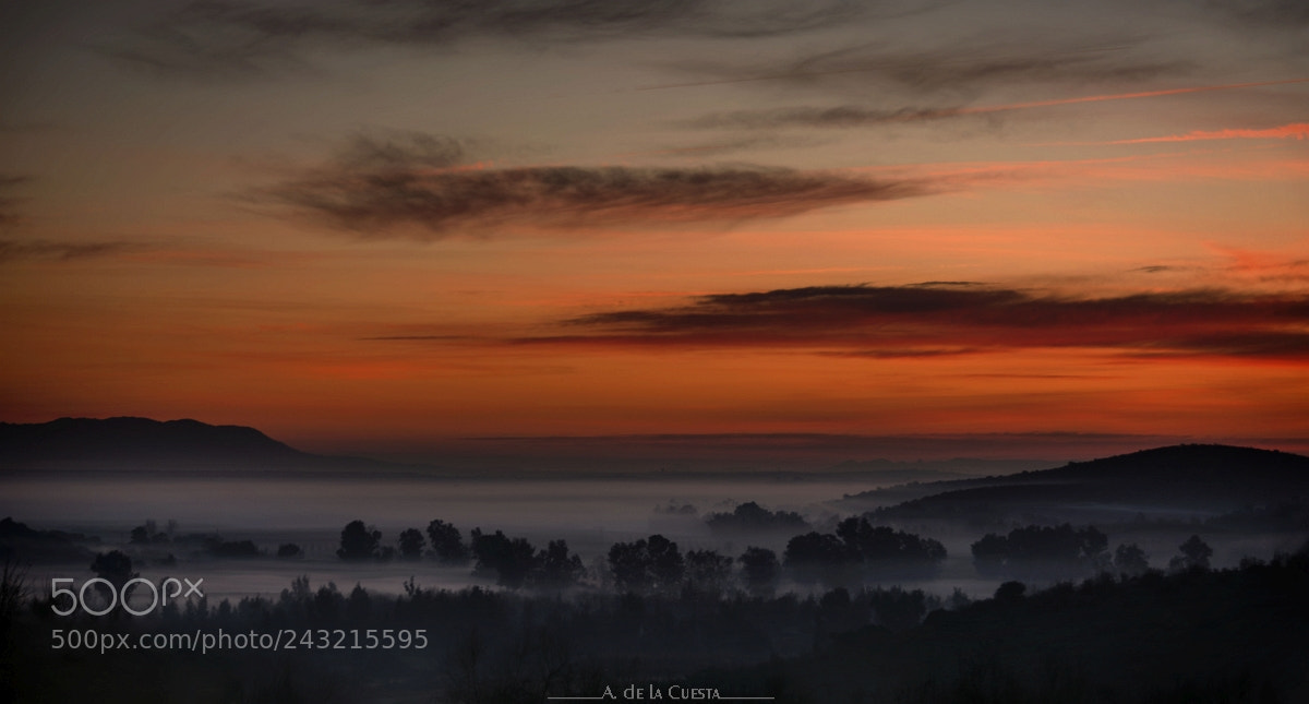 Nikon D7100 sample photo. Mystical sunrise photography