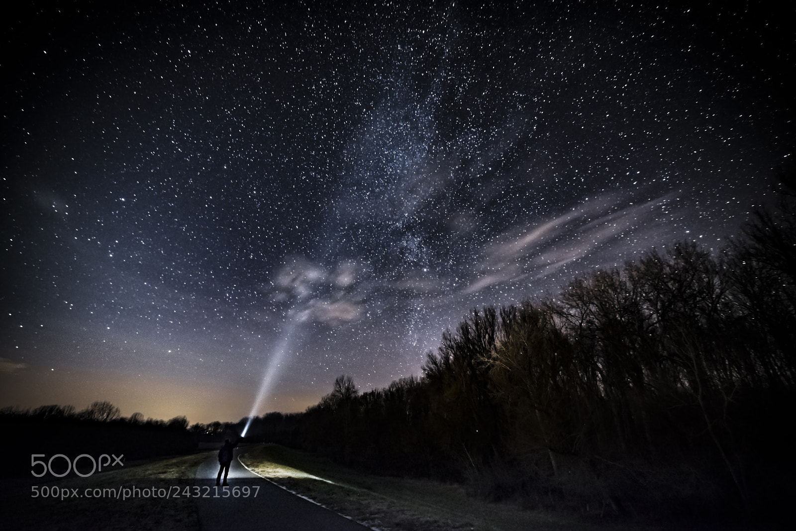 Nikon D610 sample photo. On the road photography