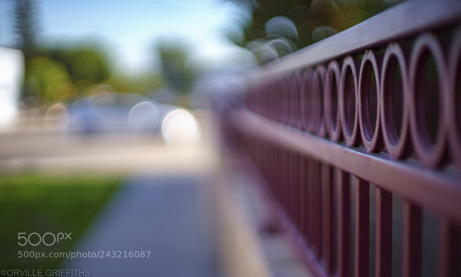 Sony a9 sample photo. Bokeh**monster**nº3 photography