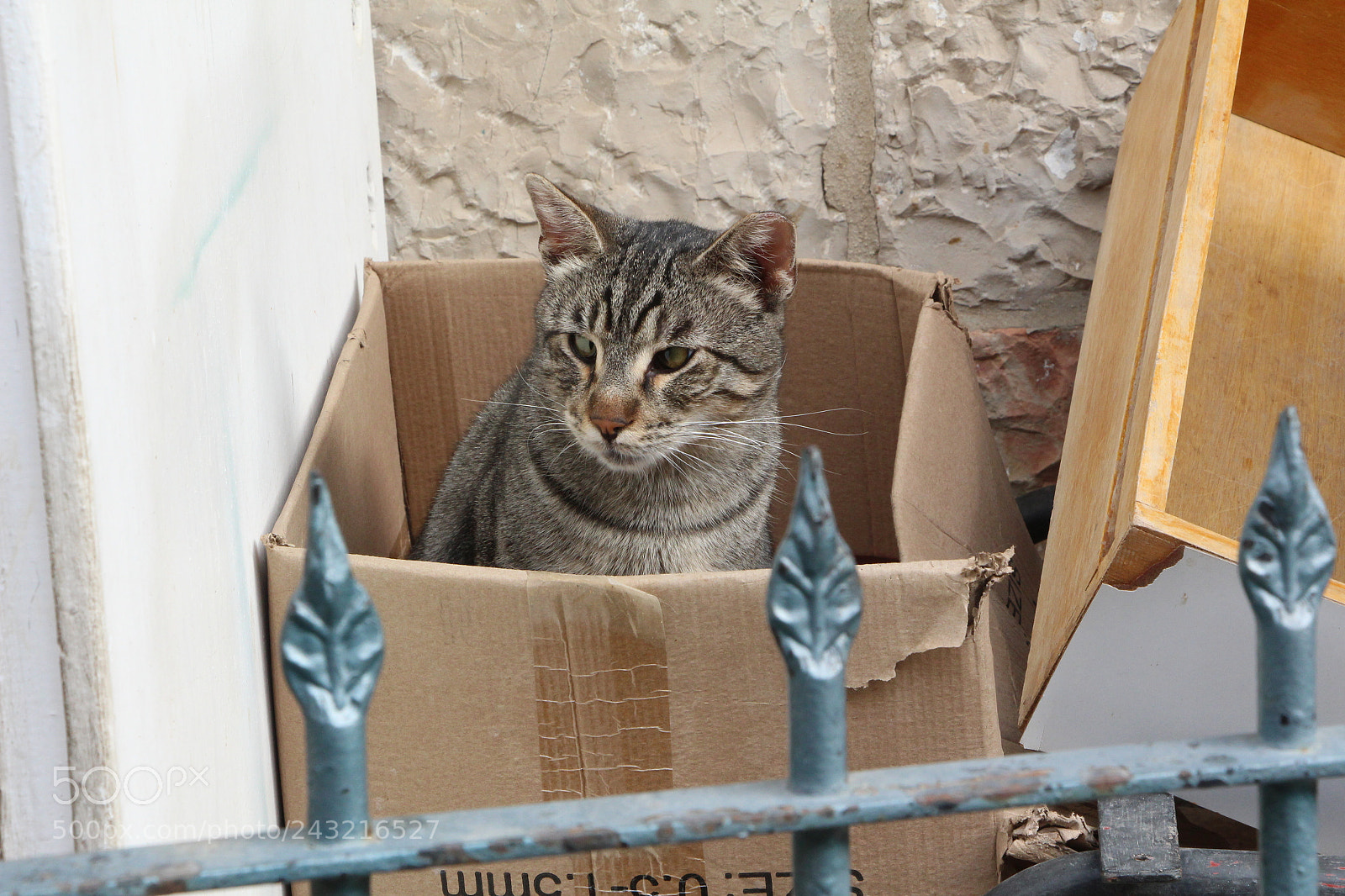 Canon EOS 650D (EOS Rebel T4i / EOS Kiss X6i) sample photo. Img photography