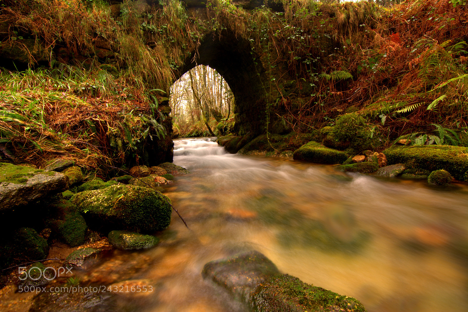Nikon D7100 sample photo. Medieval bridge photography