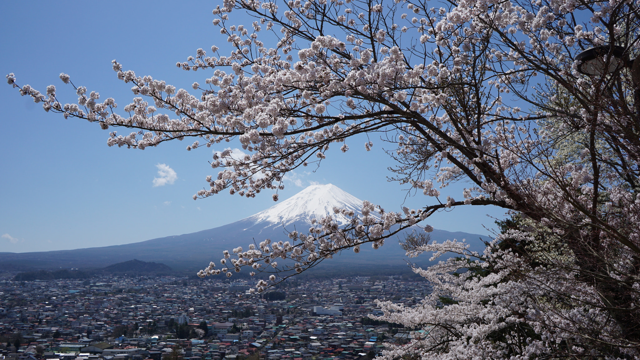 Sony E 20mm F2.8 sample photo. Mt.fuji in spring photography
