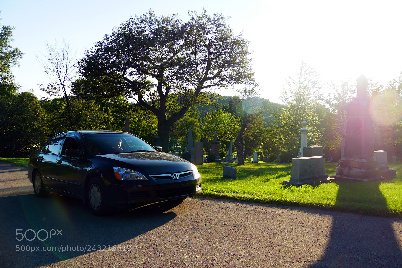Panasonic Lumix DMC-GX85 (Lumix DMC-GX80 / Lumix DMC-GX7 Mark II) sample photo. P photography