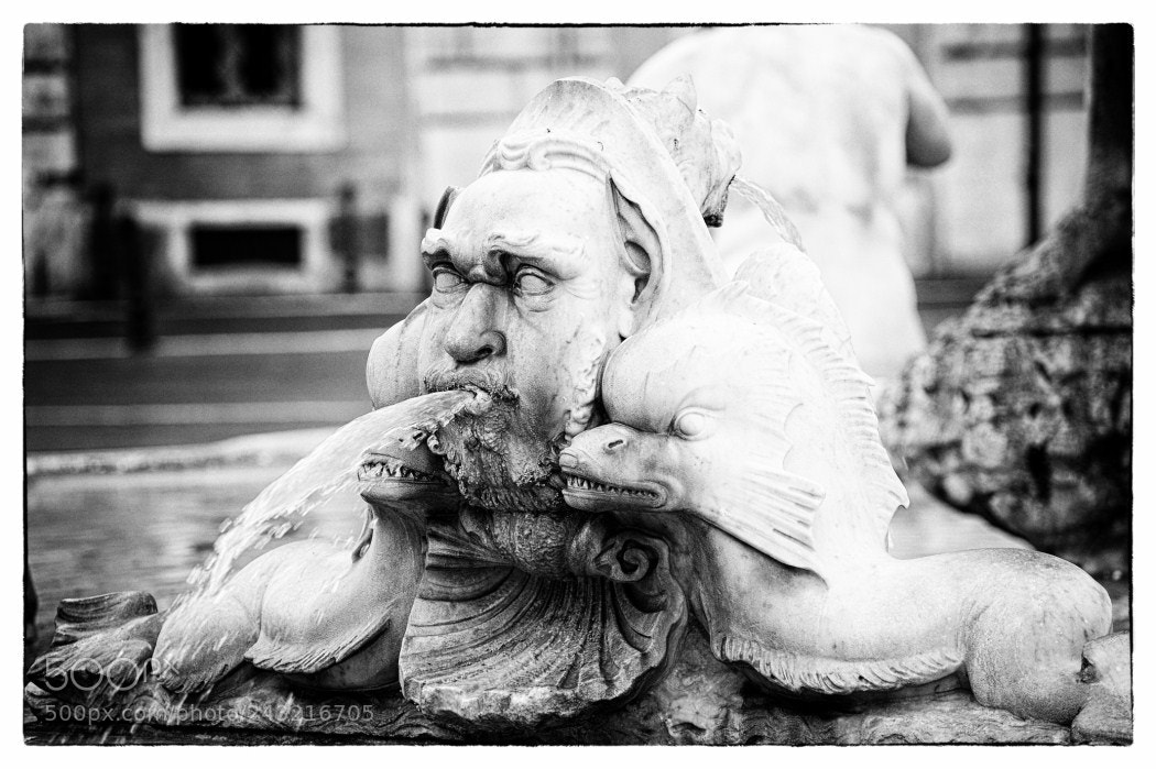 Nikon D700 sample photo. Copia (copia) photography