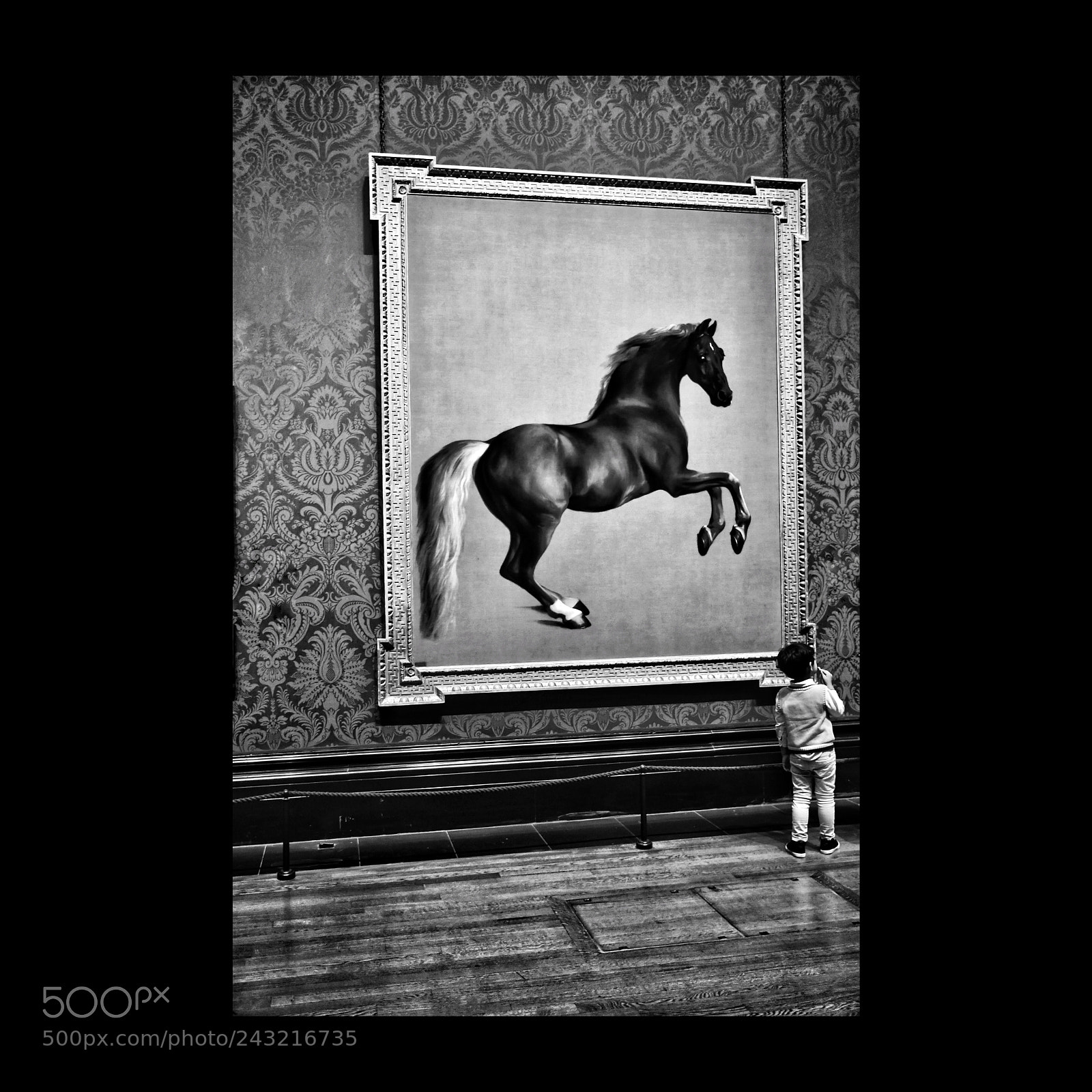 Nikon D500 sample photo. Horse and child photography