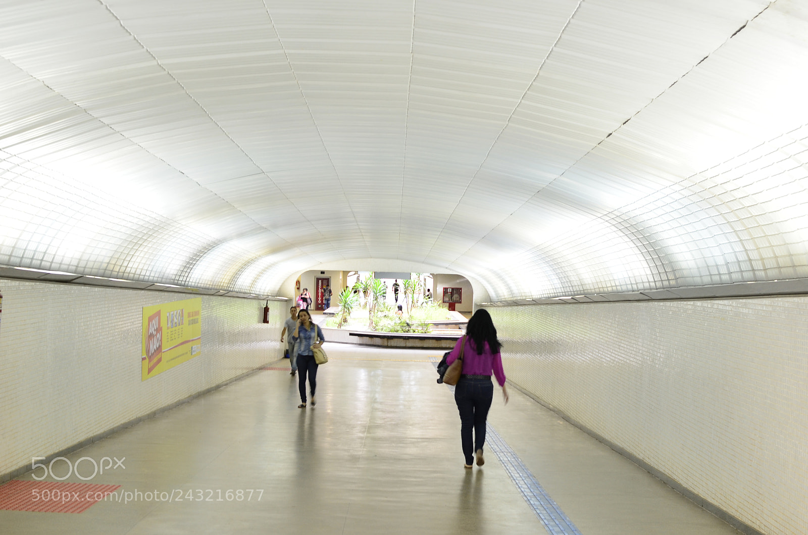 Nikon D5100 + Nikon AF-S DX Nikkor 35mm F1.8G sample photo. [] photography