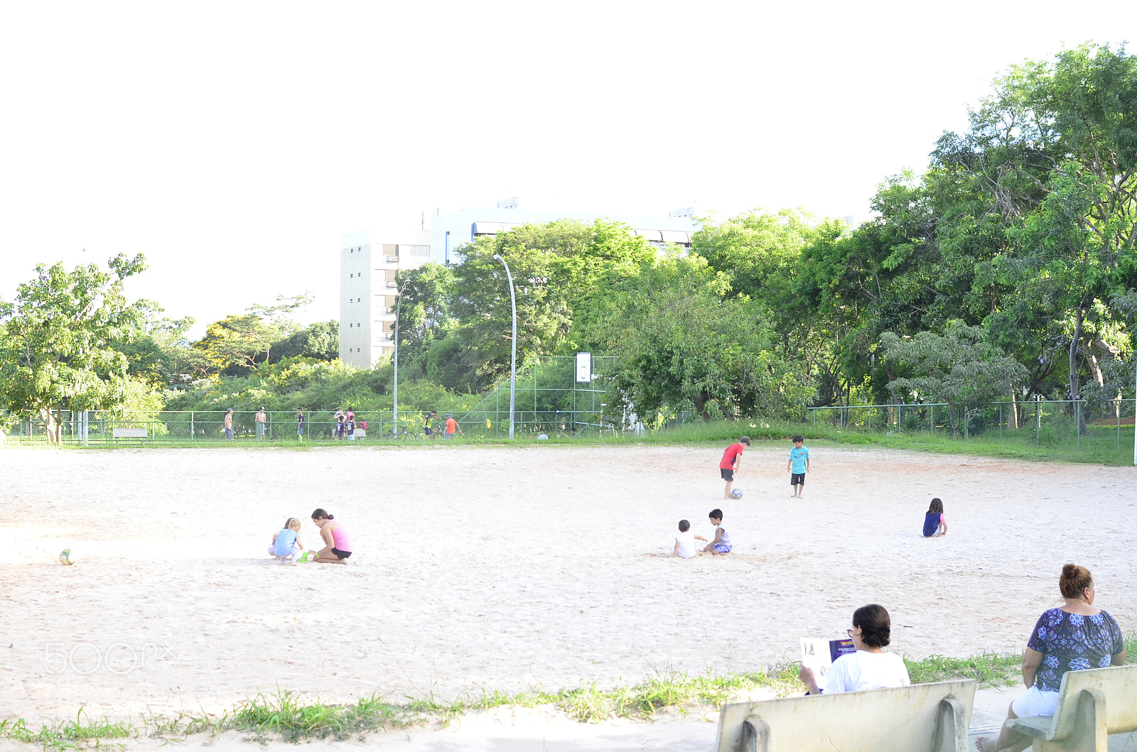 Nikon D5100 + Nikon AF-S DX Nikkor 35mm F1.8G sample photo. [] photography