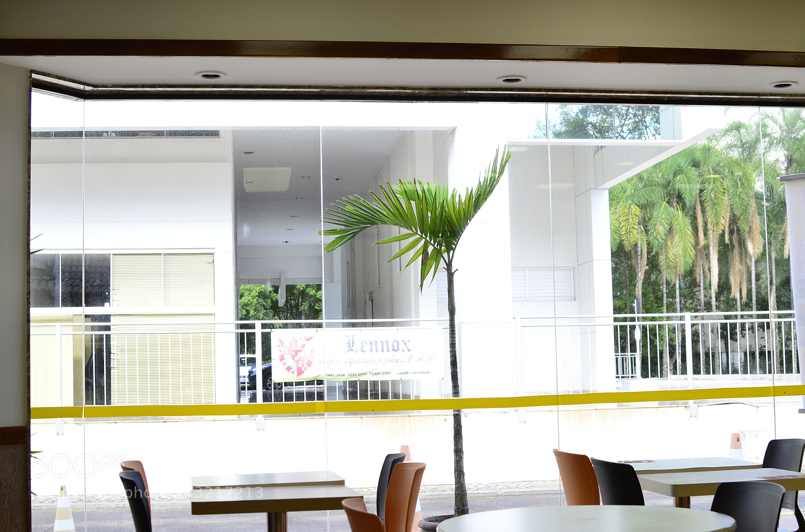 Nikon D5100 + Nikon AF-S DX Nikkor 35mm F1.8G sample photo. [] photography