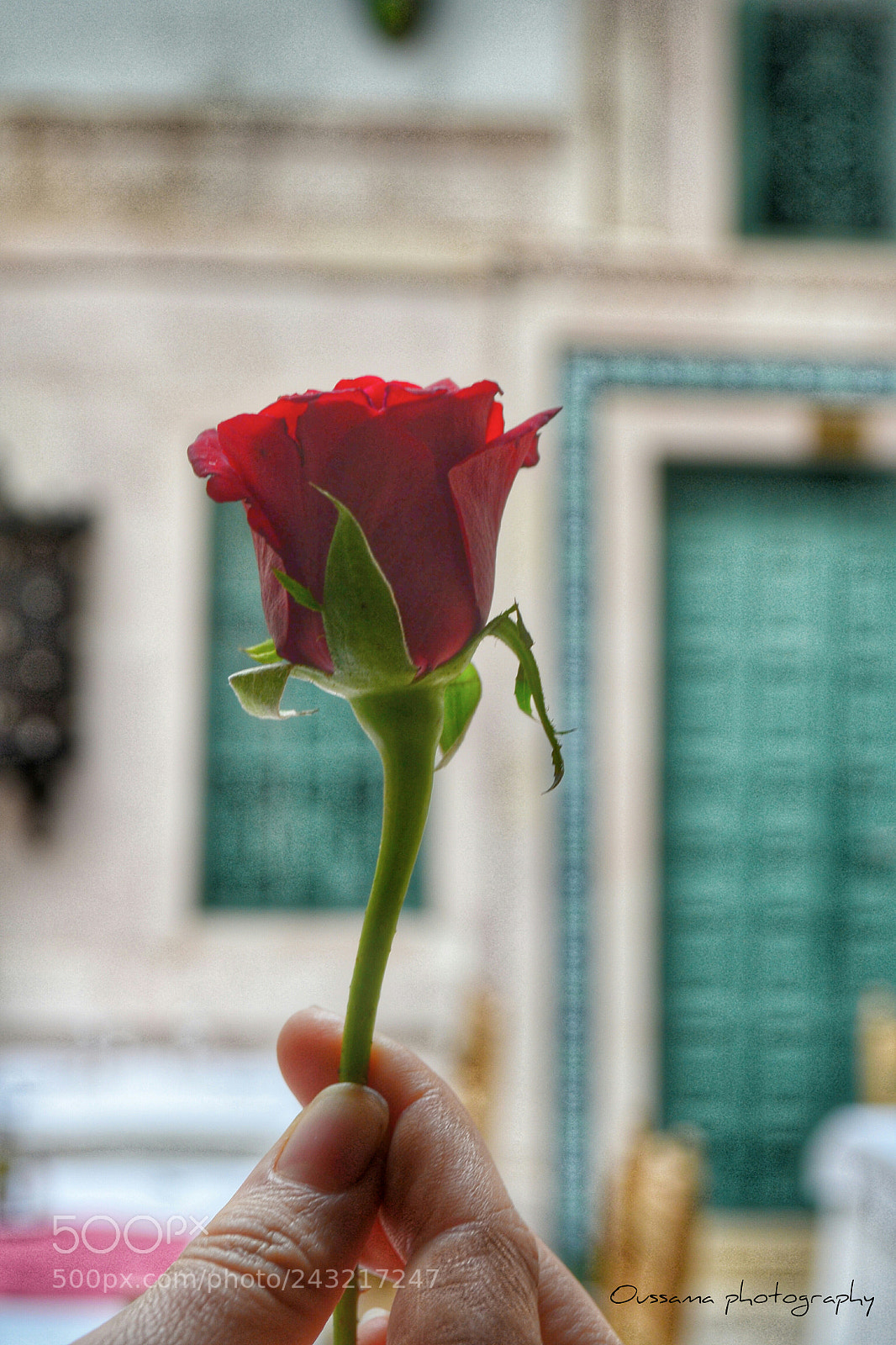 Nikon D3100 sample photo. Untitled photography