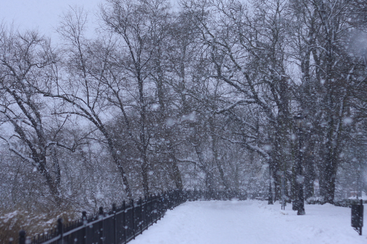 Canon EF 35-80mm f/4-5.6 sample photo. Cozy shawl of winter photography