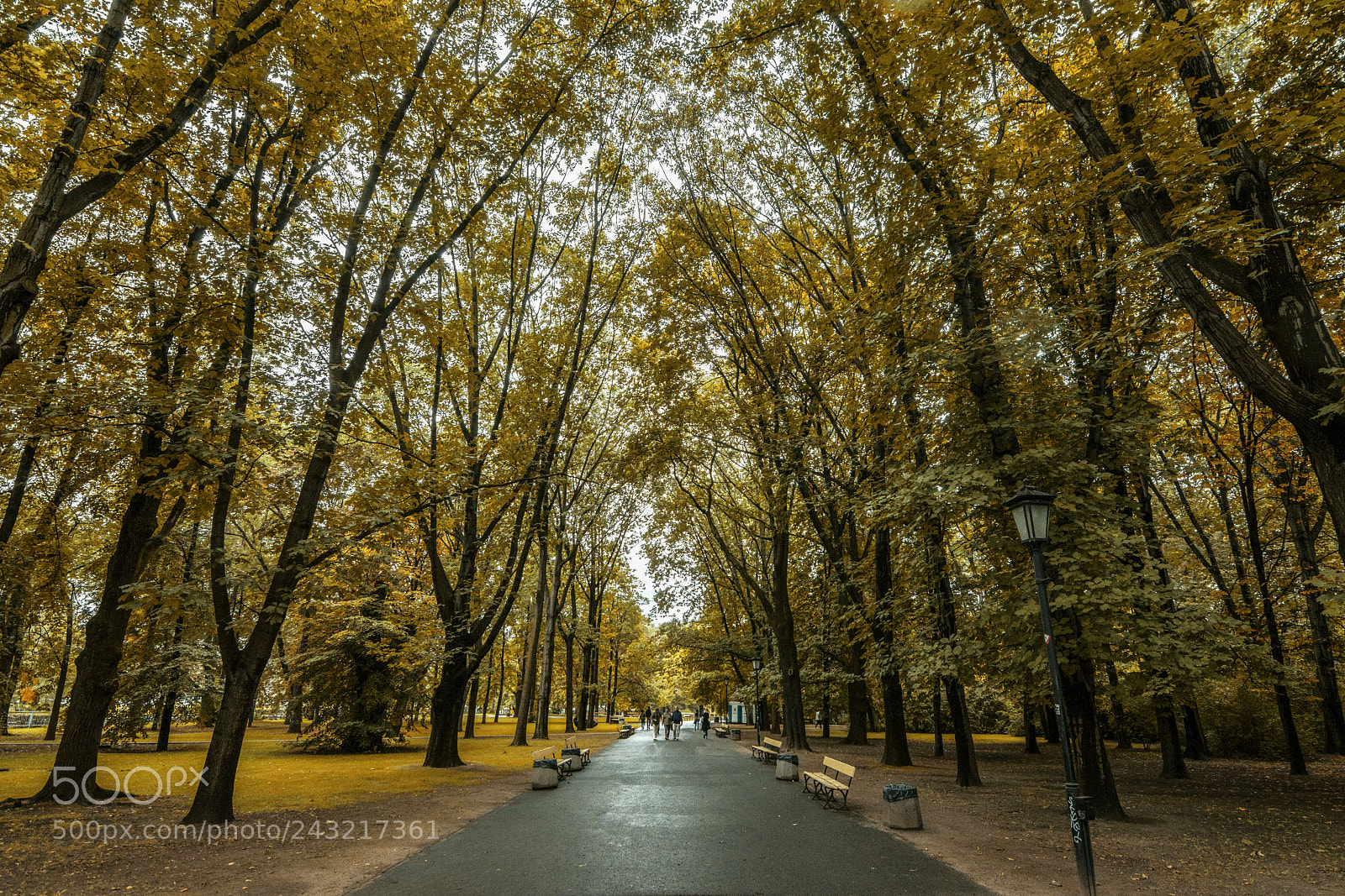 Nikon D7200 sample photo. Brown heaven photography