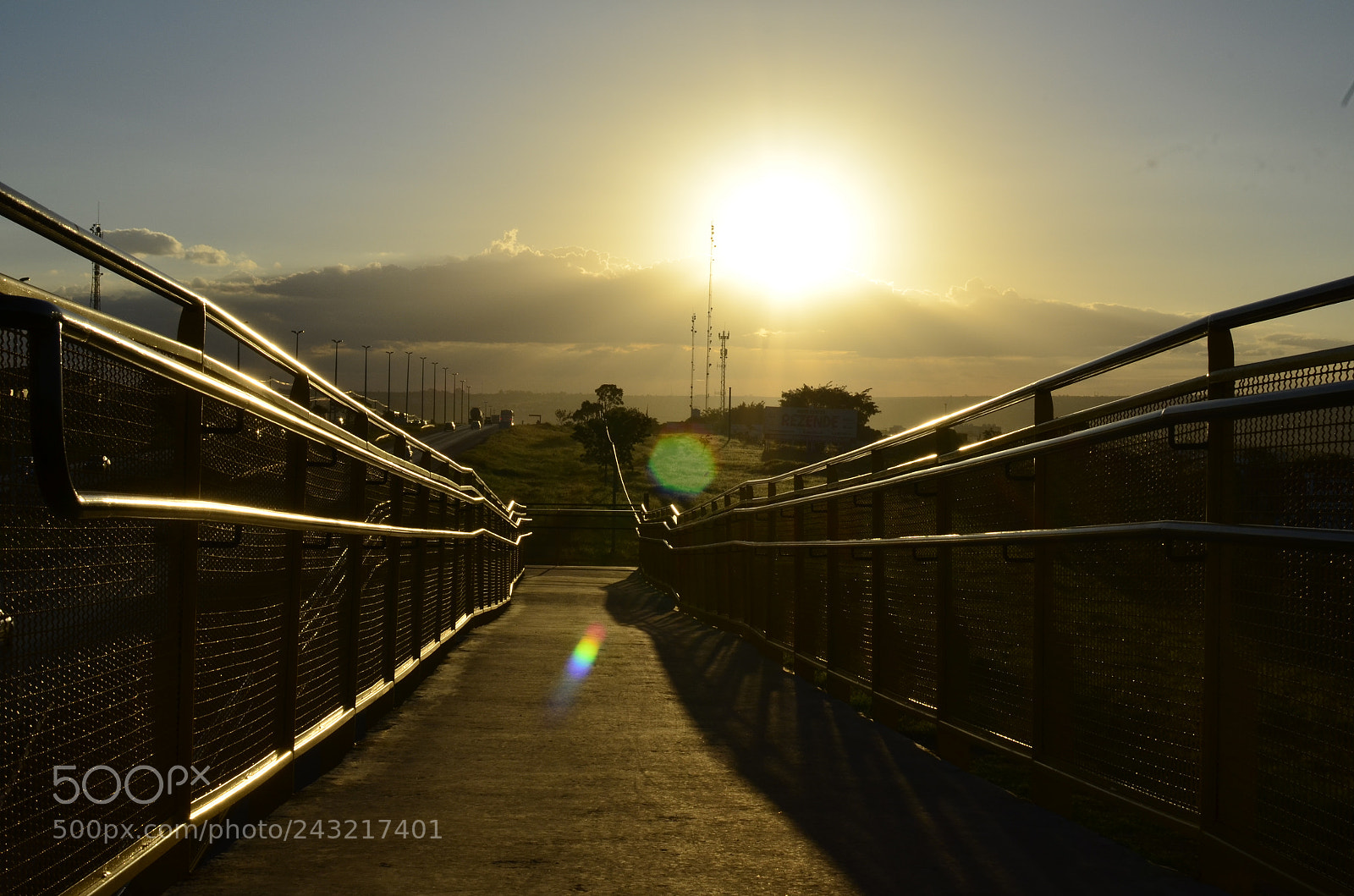 Nikon D5100 + Nikon AF-S DX Nikkor 35mm F1.8G sample photo. [] photography