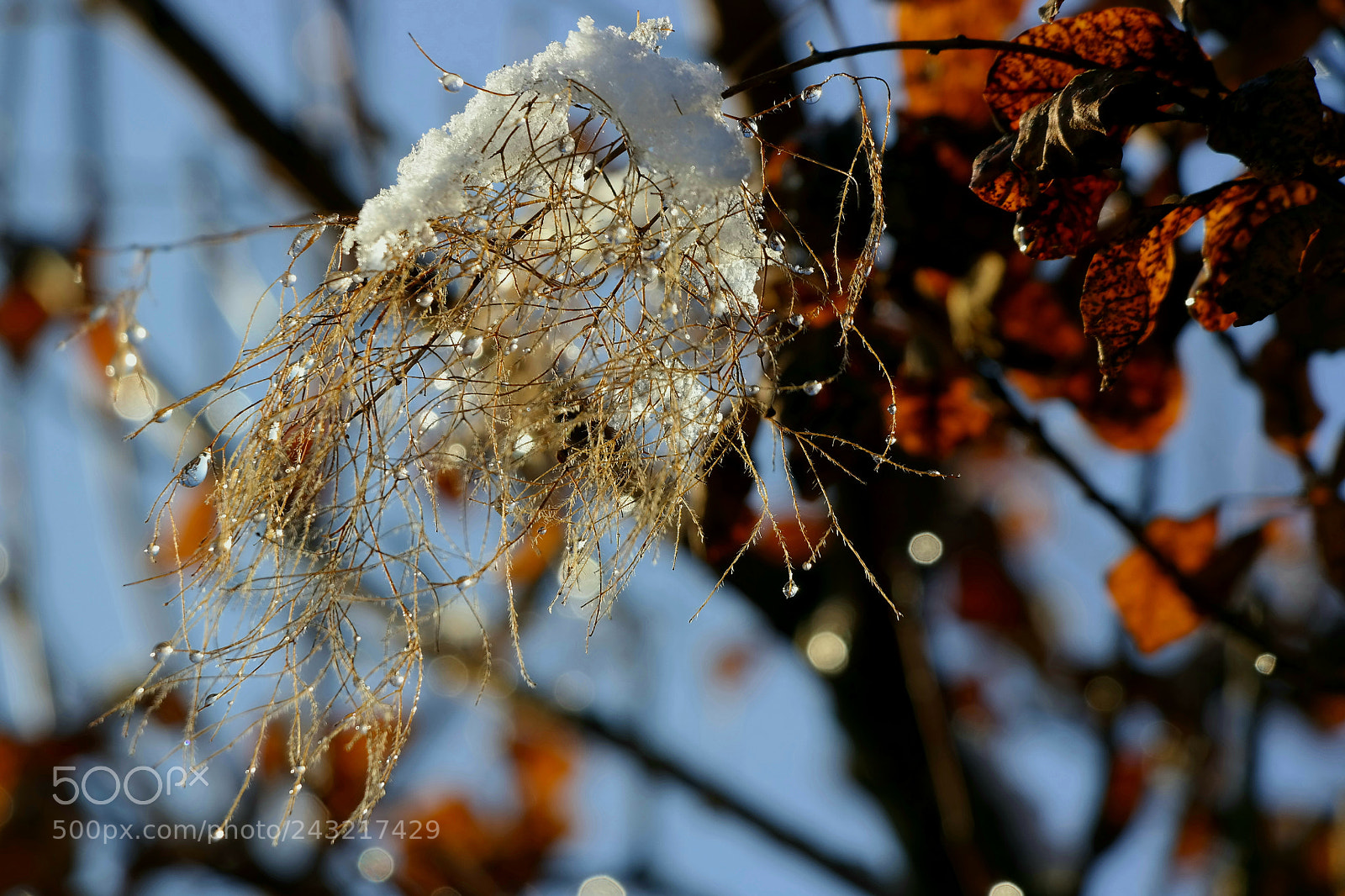 Samsung NX300 sample photo. Untitled photography