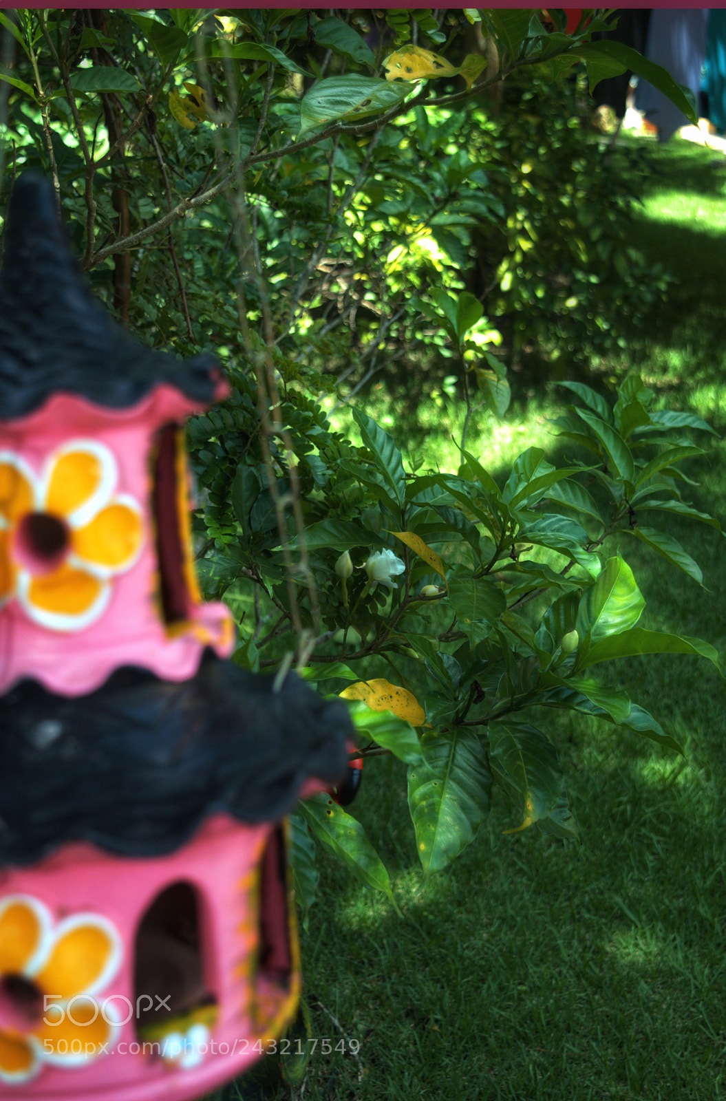 Nikon D3200 sample photo. Untitled photography