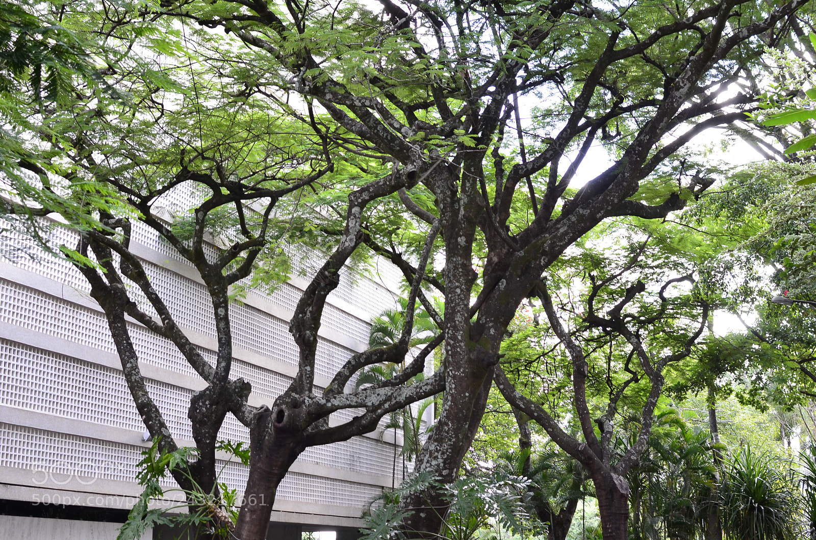 Nikon D5100 + Nikon AF-S DX Nikkor 35mm F1.8G sample photo. [] photography