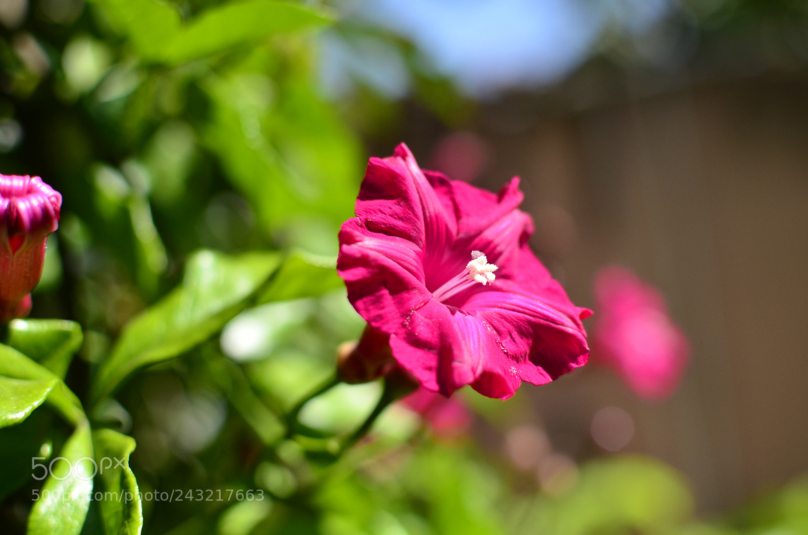 Nikon D5100 + Nikon AF-S DX Nikkor 35mm F1.8G sample photo. [] photography