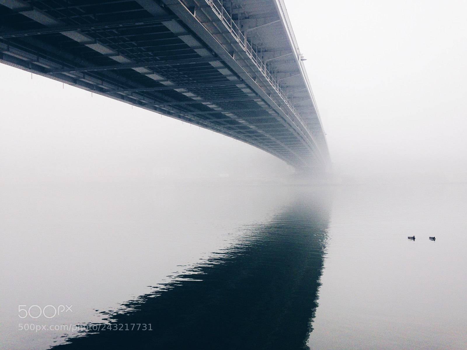 Apple iPhone 5 sample photo. Heavy fog photography