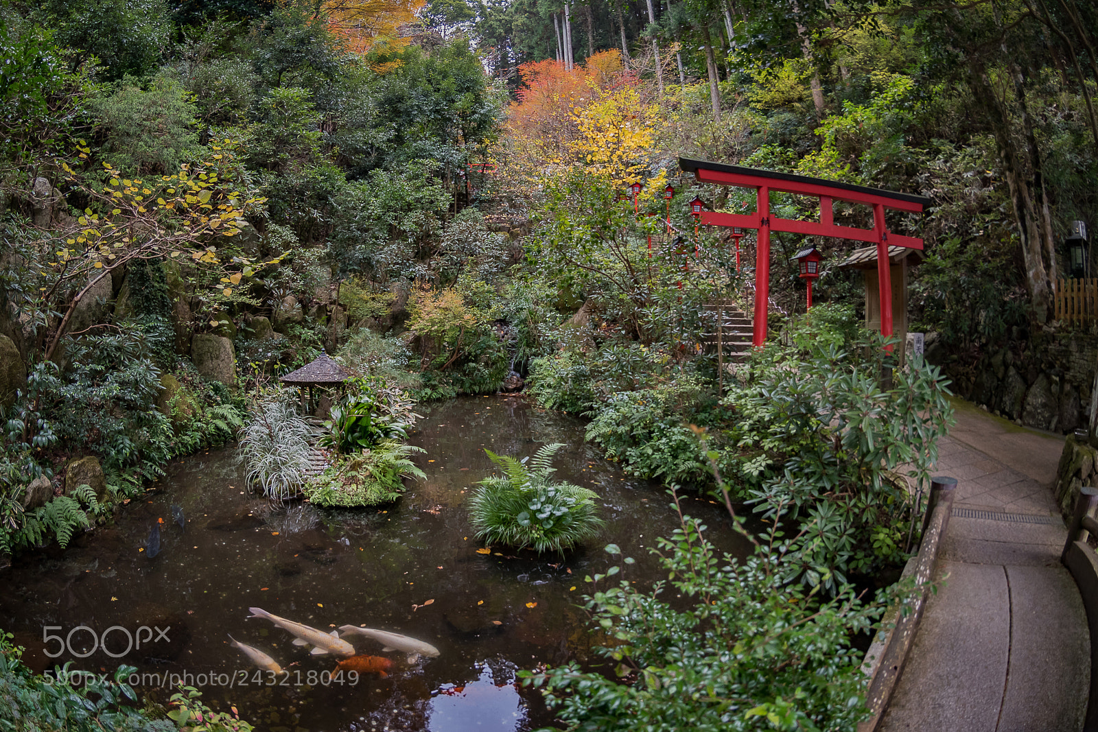Nikon D5500 sample photo. Nanzo in temple sasaguri photography
