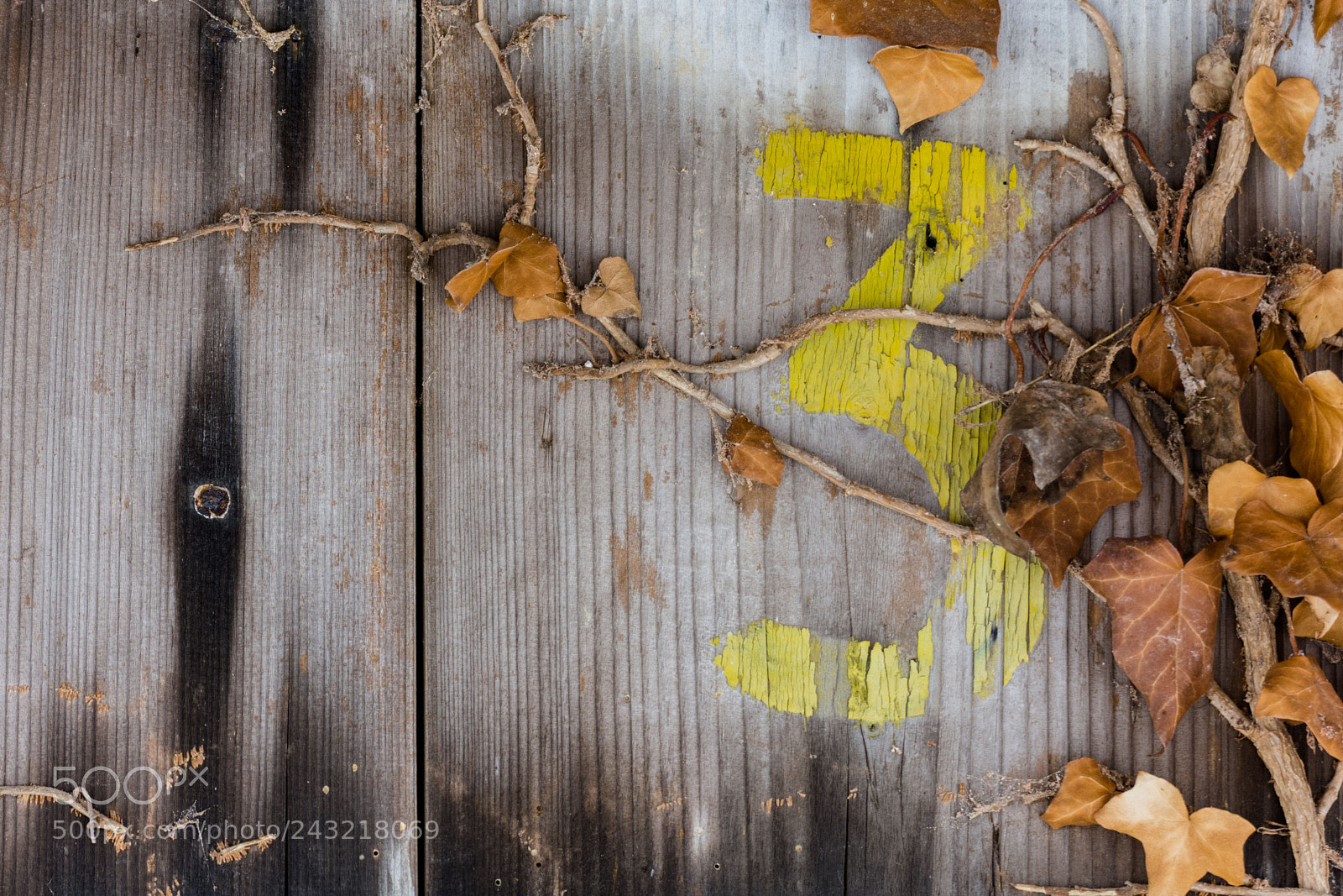 Nikon D7200 sample photo. 3 photography