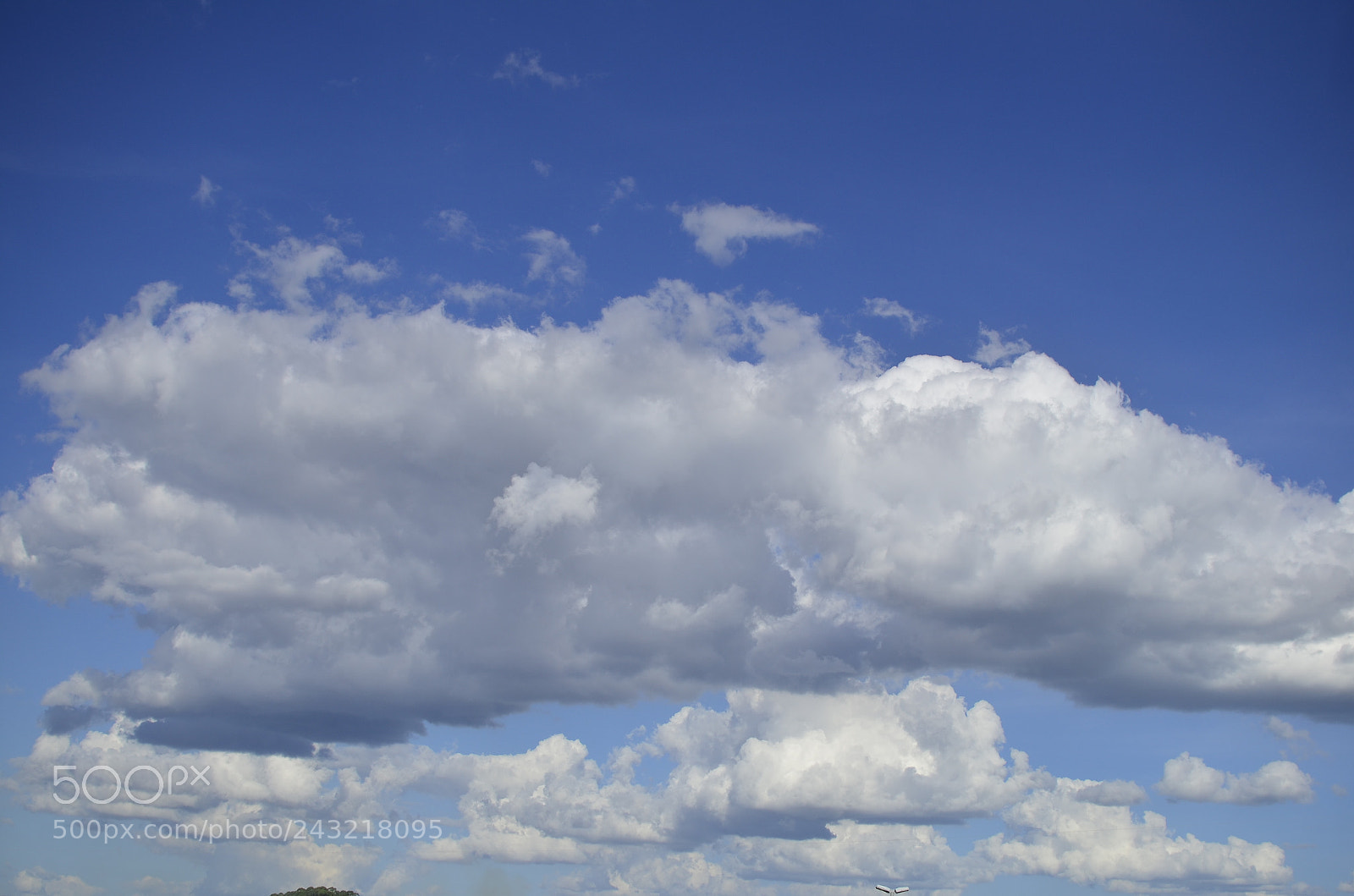 Nikon D5100 + Nikon AF-S DX Nikkor 35mm F1.8G sample photo. [] photography
