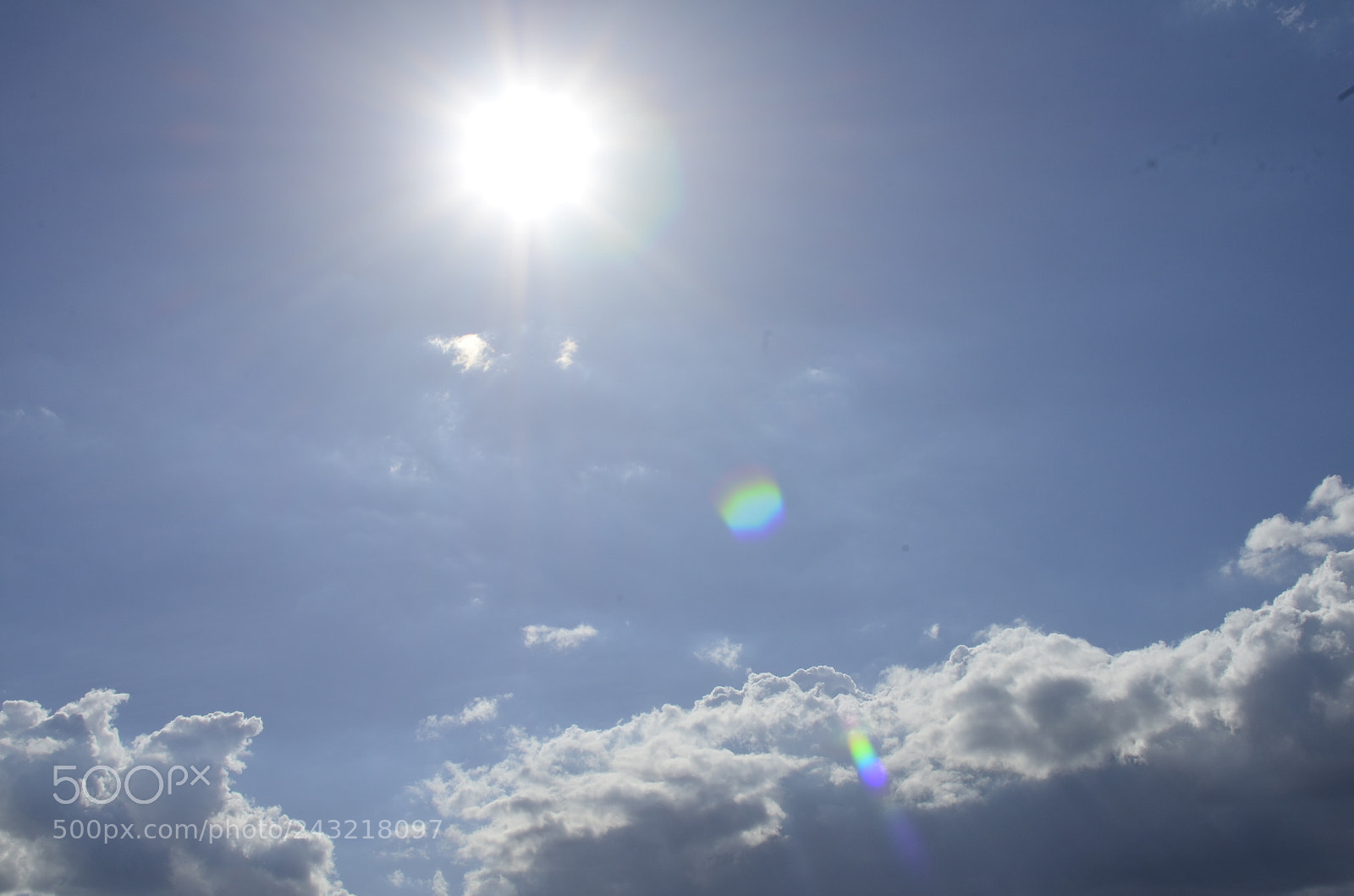 Nikon D5100 + Nikon AF-S DX Nikkor 35mm F1.8G sample photo. [] photography