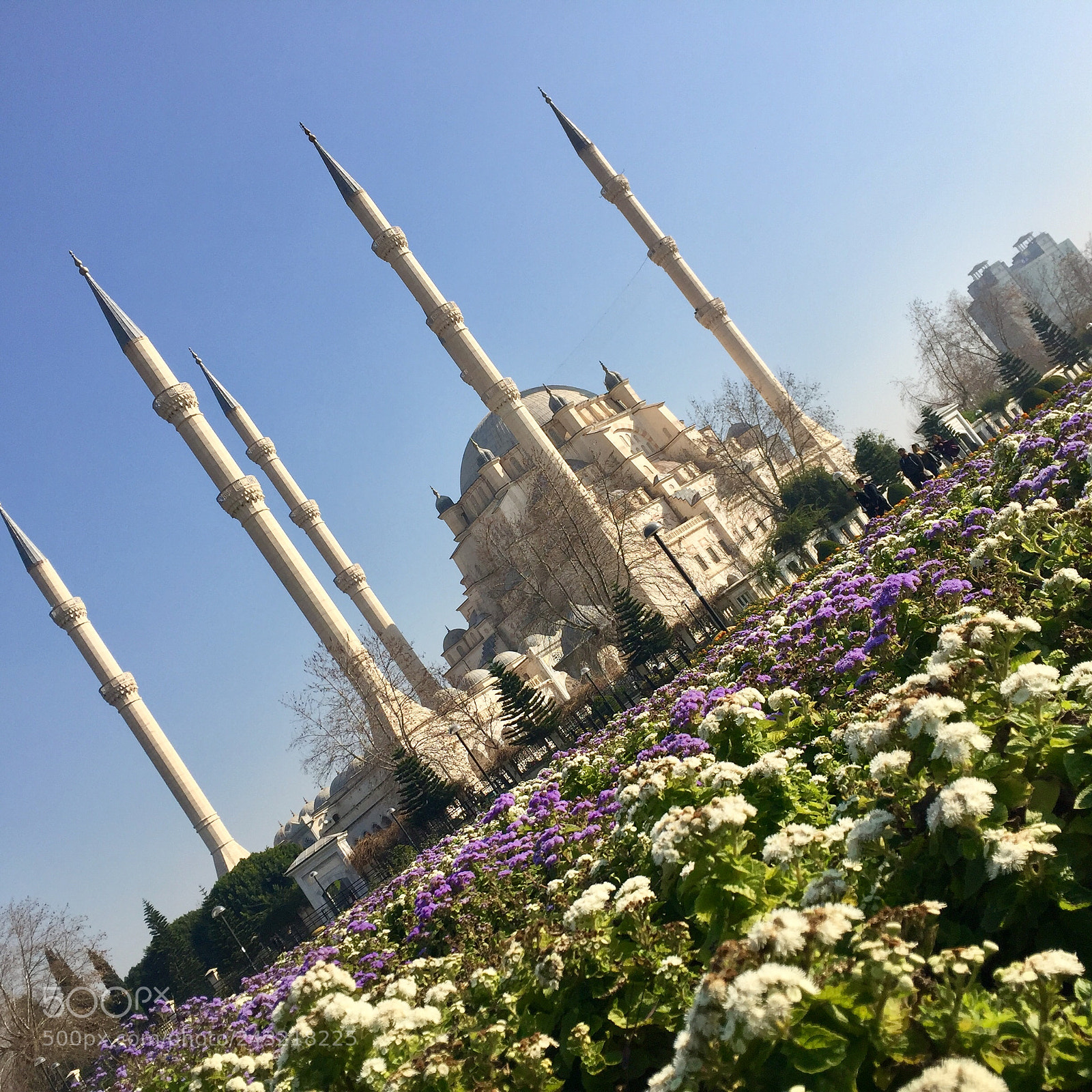 Apple iPhone 6 sample photo. It s the biggest photography