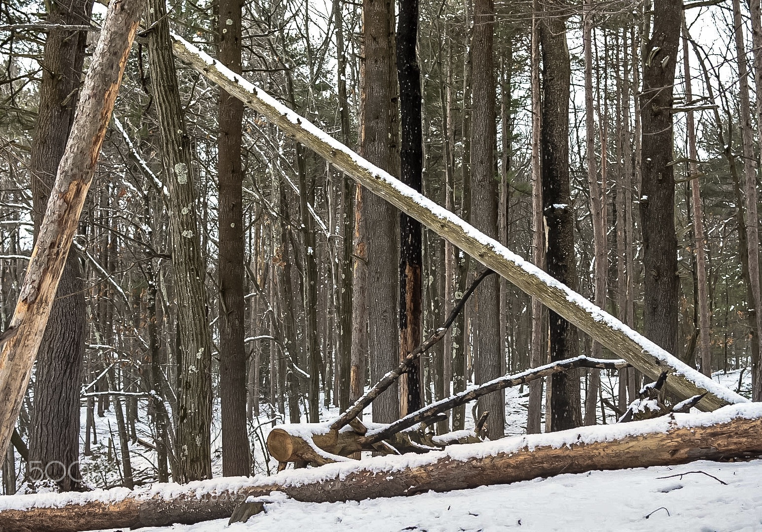 Nikon D7200 sample photo. Nature triangle photography